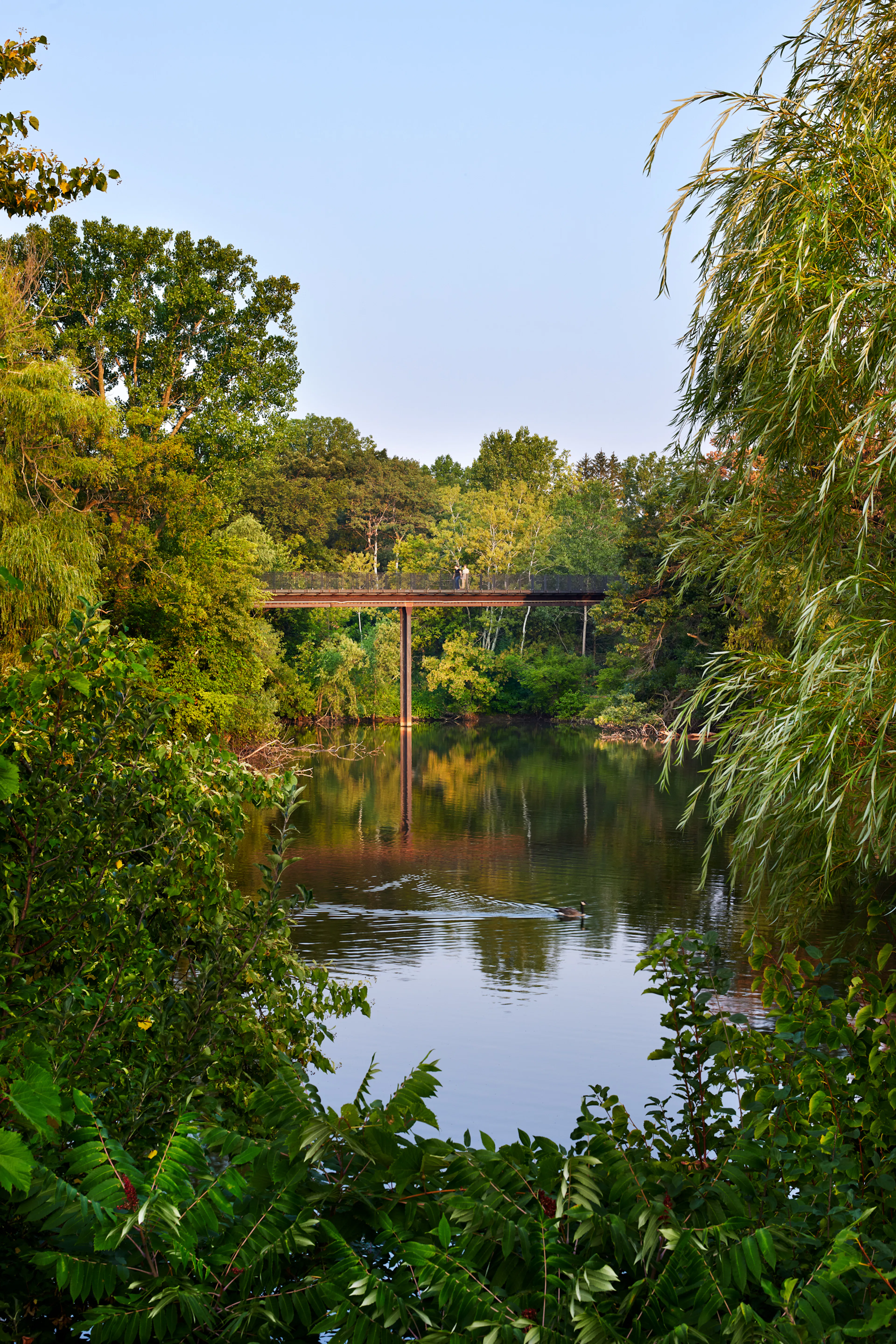 Treetop Trail at the Minnesota Zoo — 8