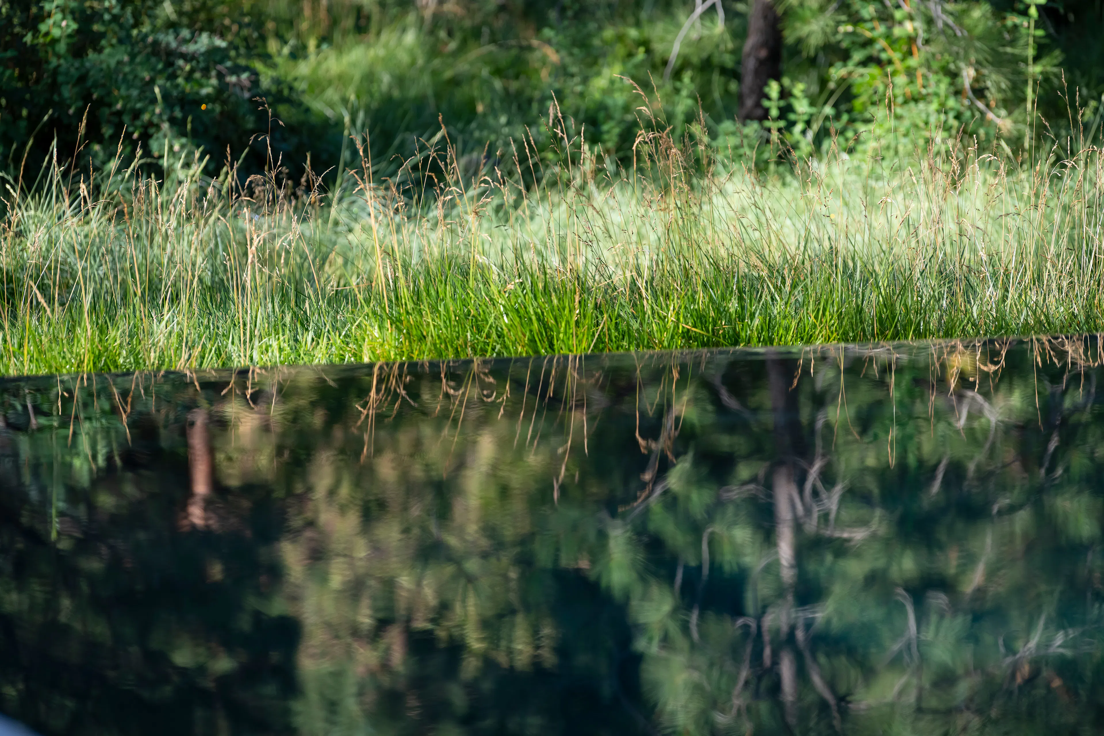 Nurturing Nature in the Mile-High City — 9