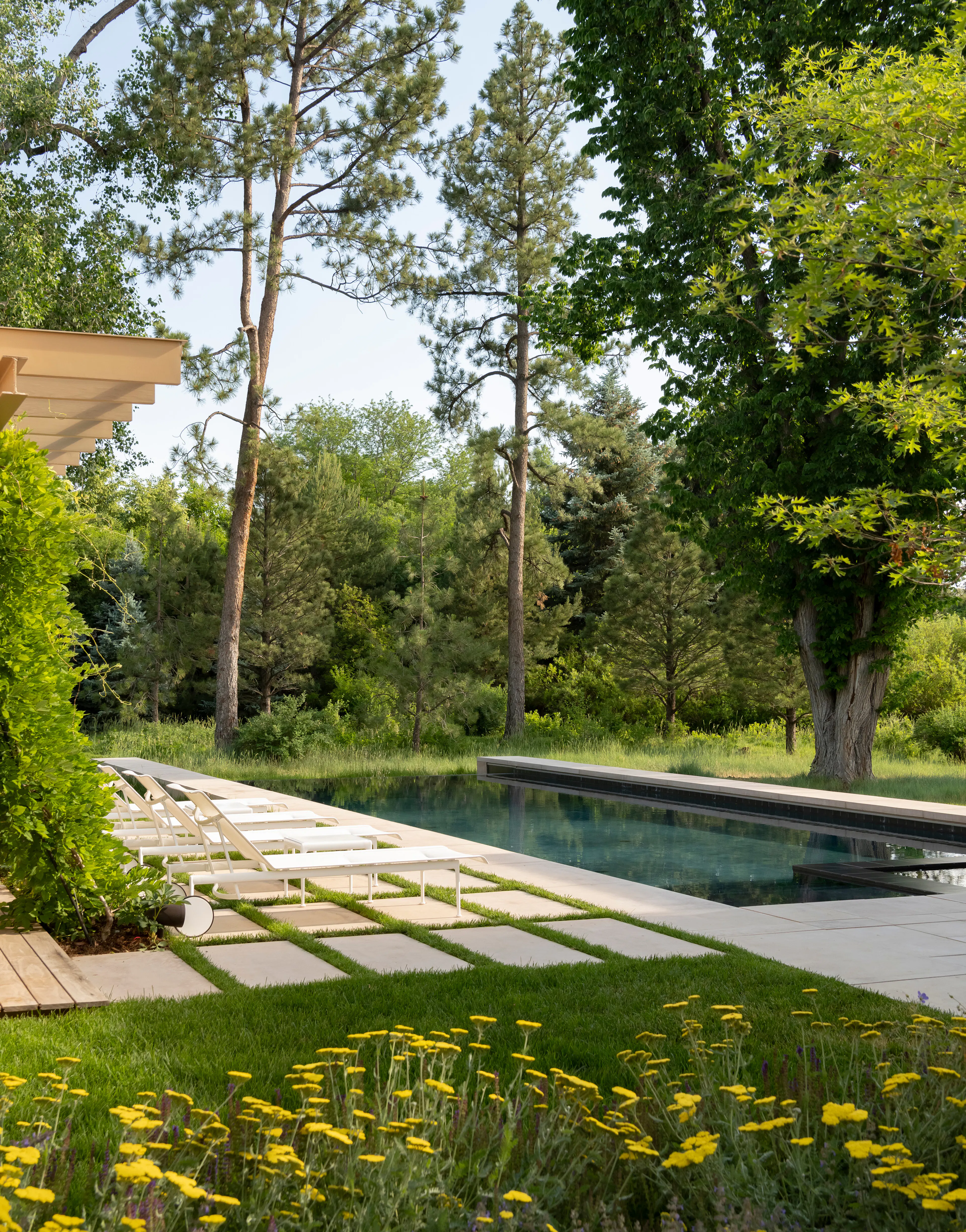 Nurturing Nature in the Mile-High City — 10