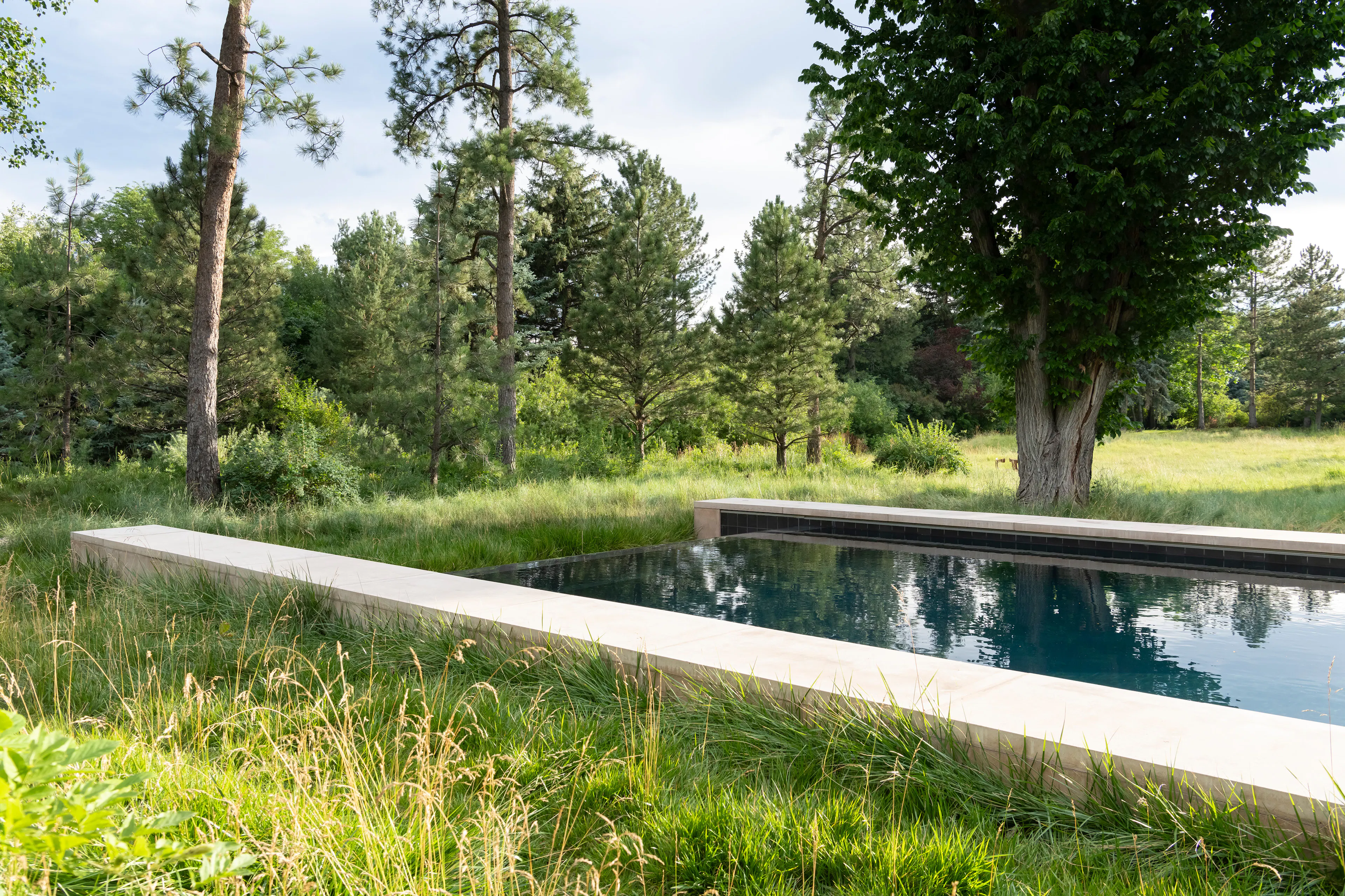 Nurturing Nature in the Mile-High City — 8