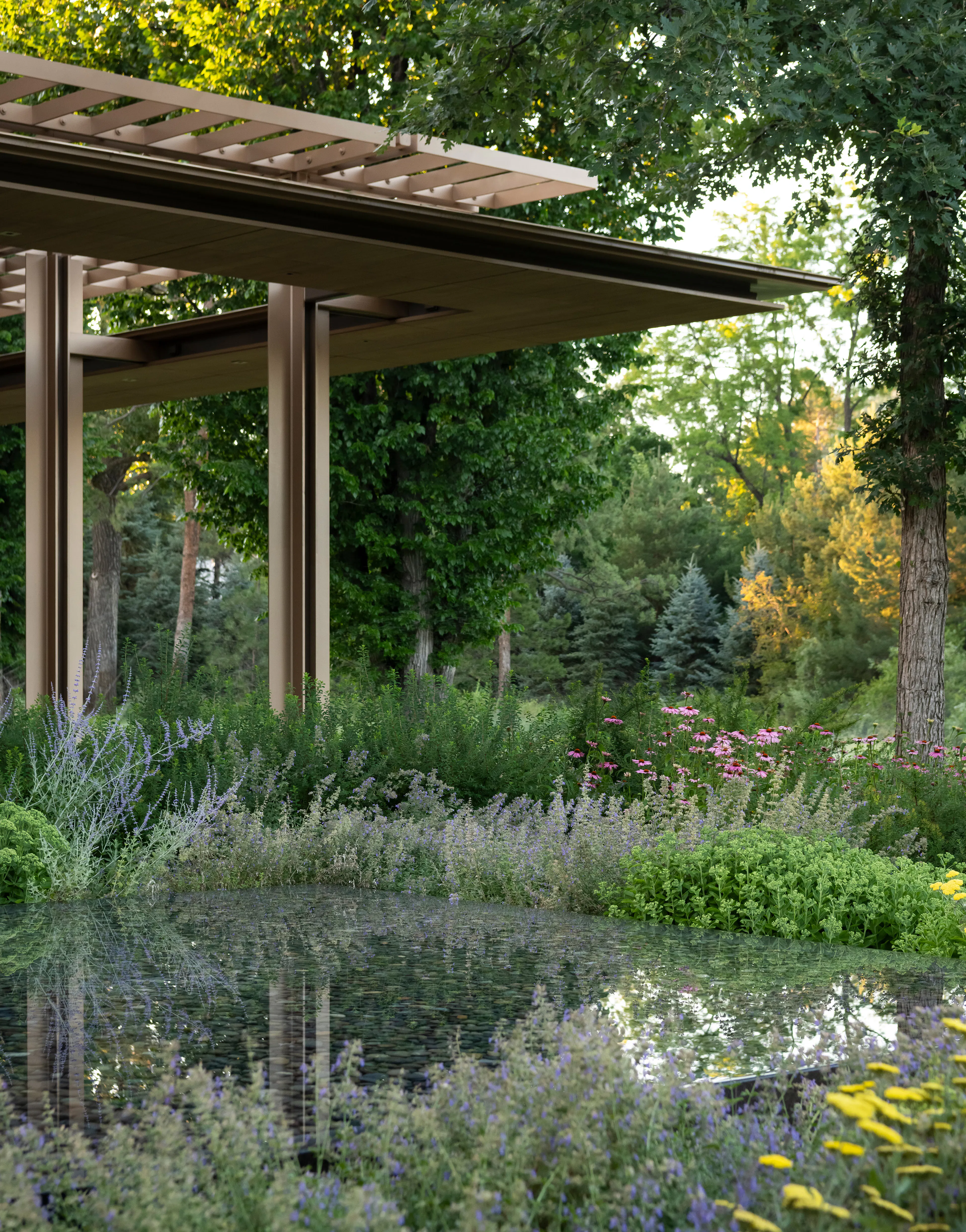 Nurturing Nature in the Mile-High City — 2