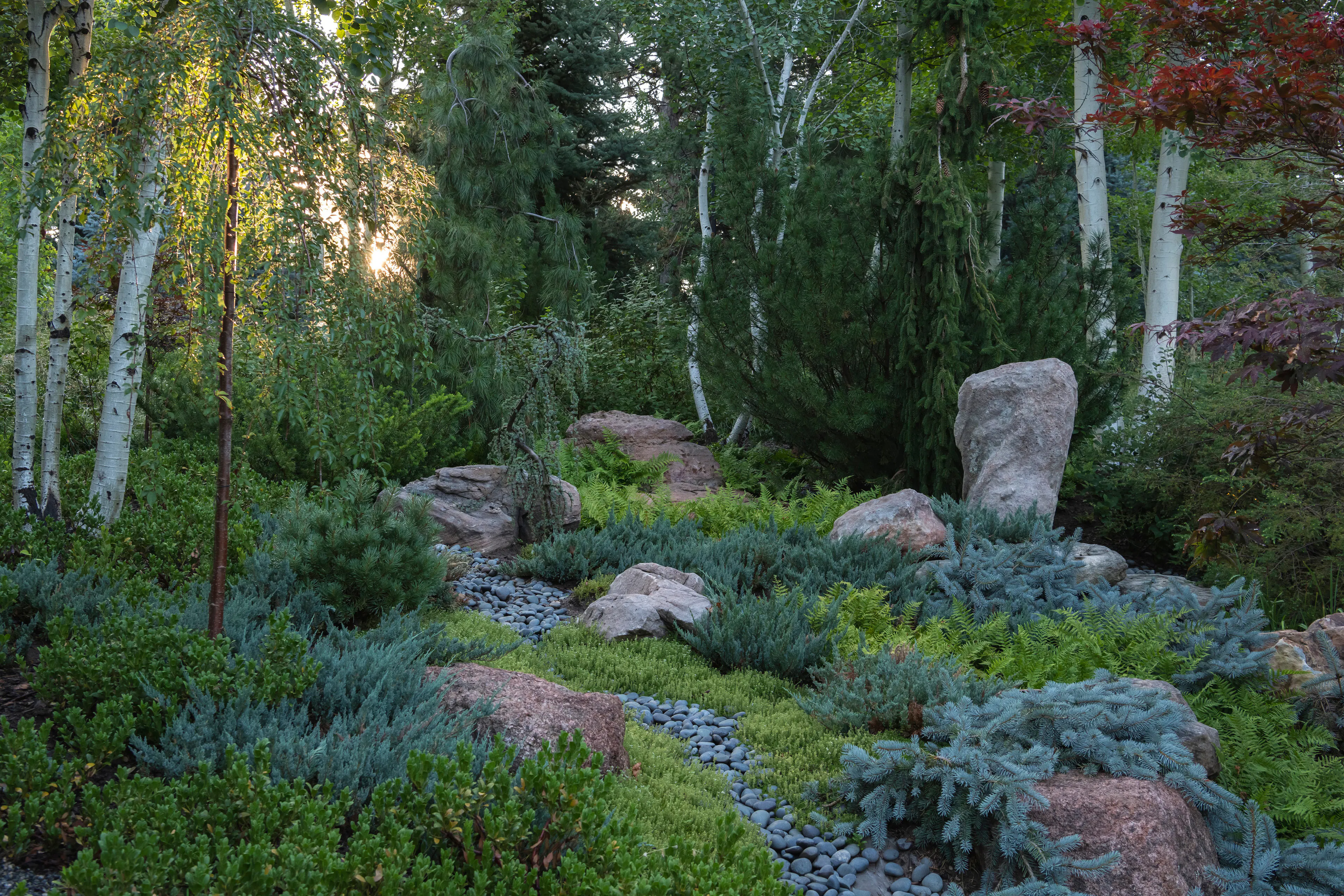 Nurturing Nature in the Mile-High City — 5