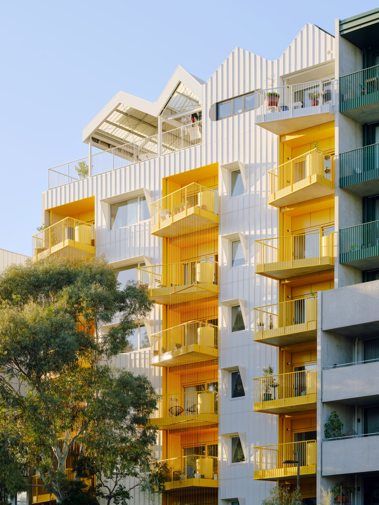 © Austin Maynard Architects