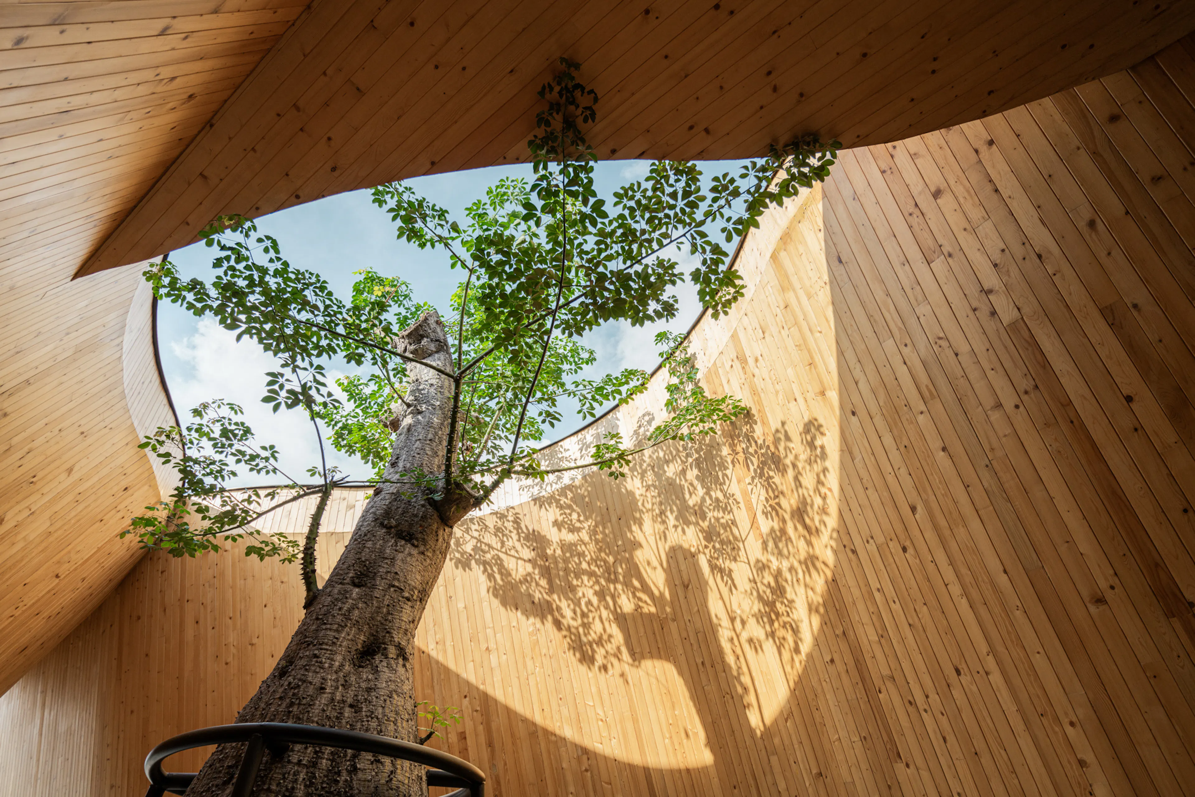 Harudot By Nana Coffee Roasters — 10