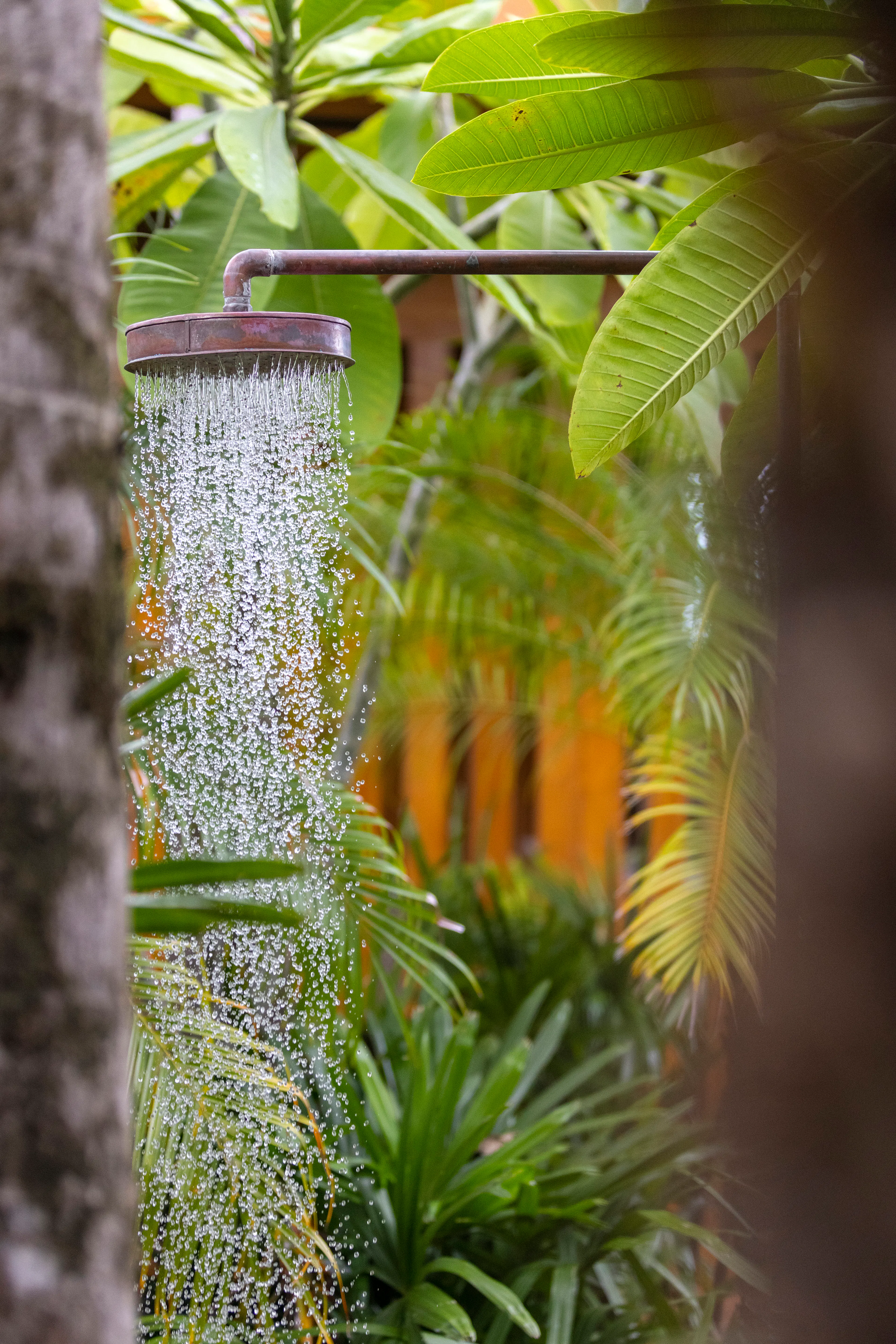 Loma Sagrada House — 22