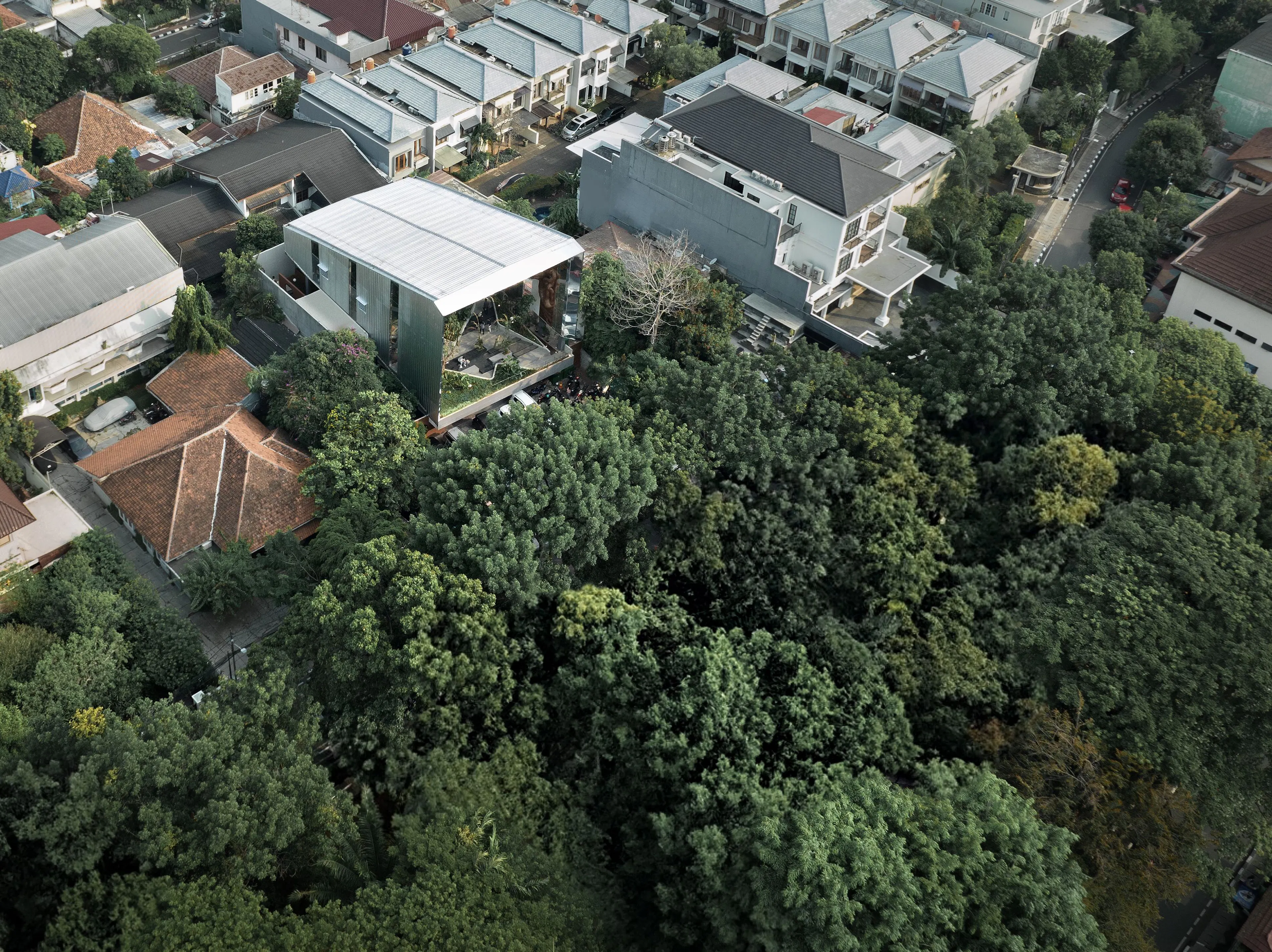 Aruma Split Garden — 39