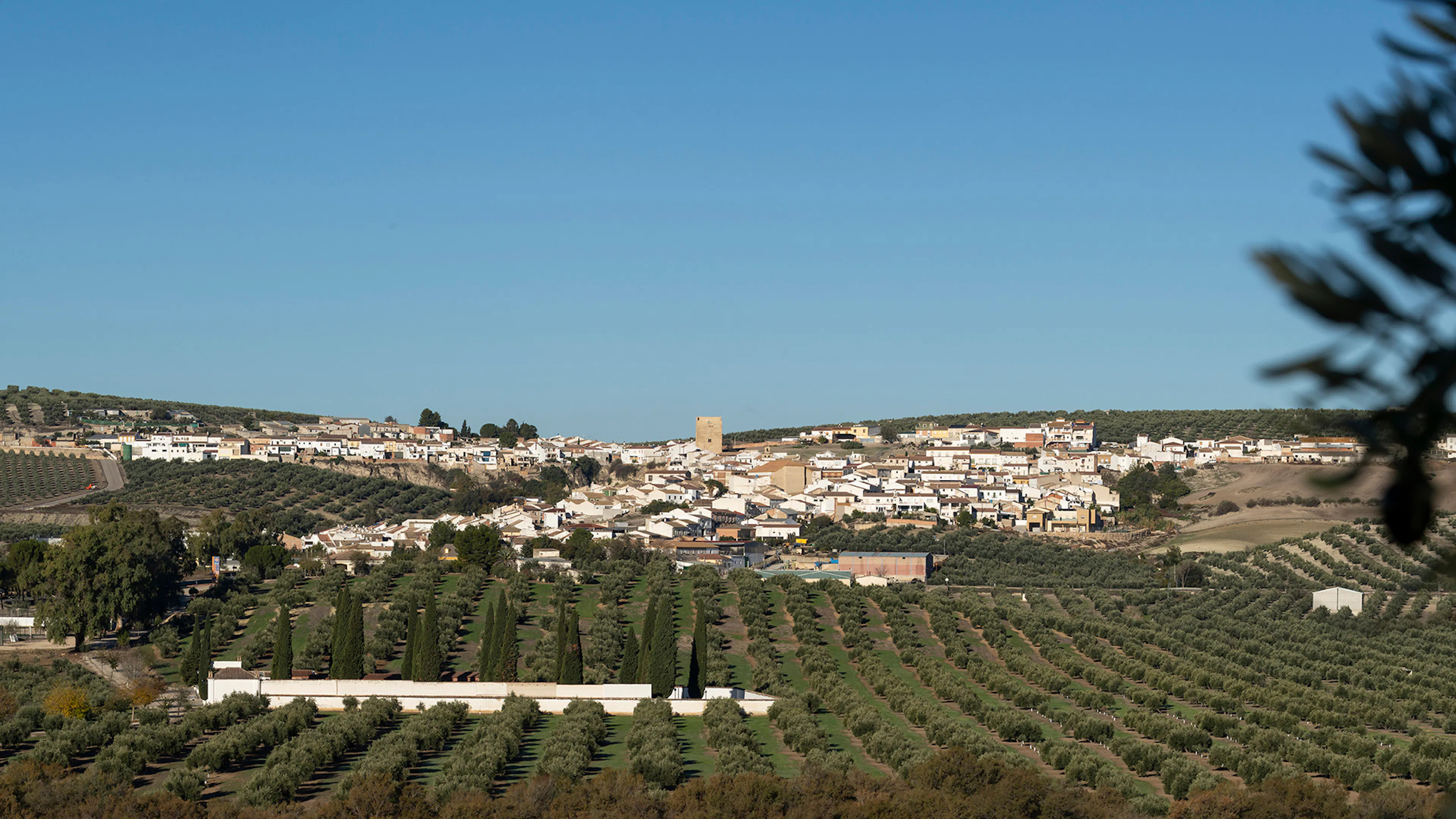 INTERPRETATION SPACE OF THE ALCAZAR WALL OF ARJONA