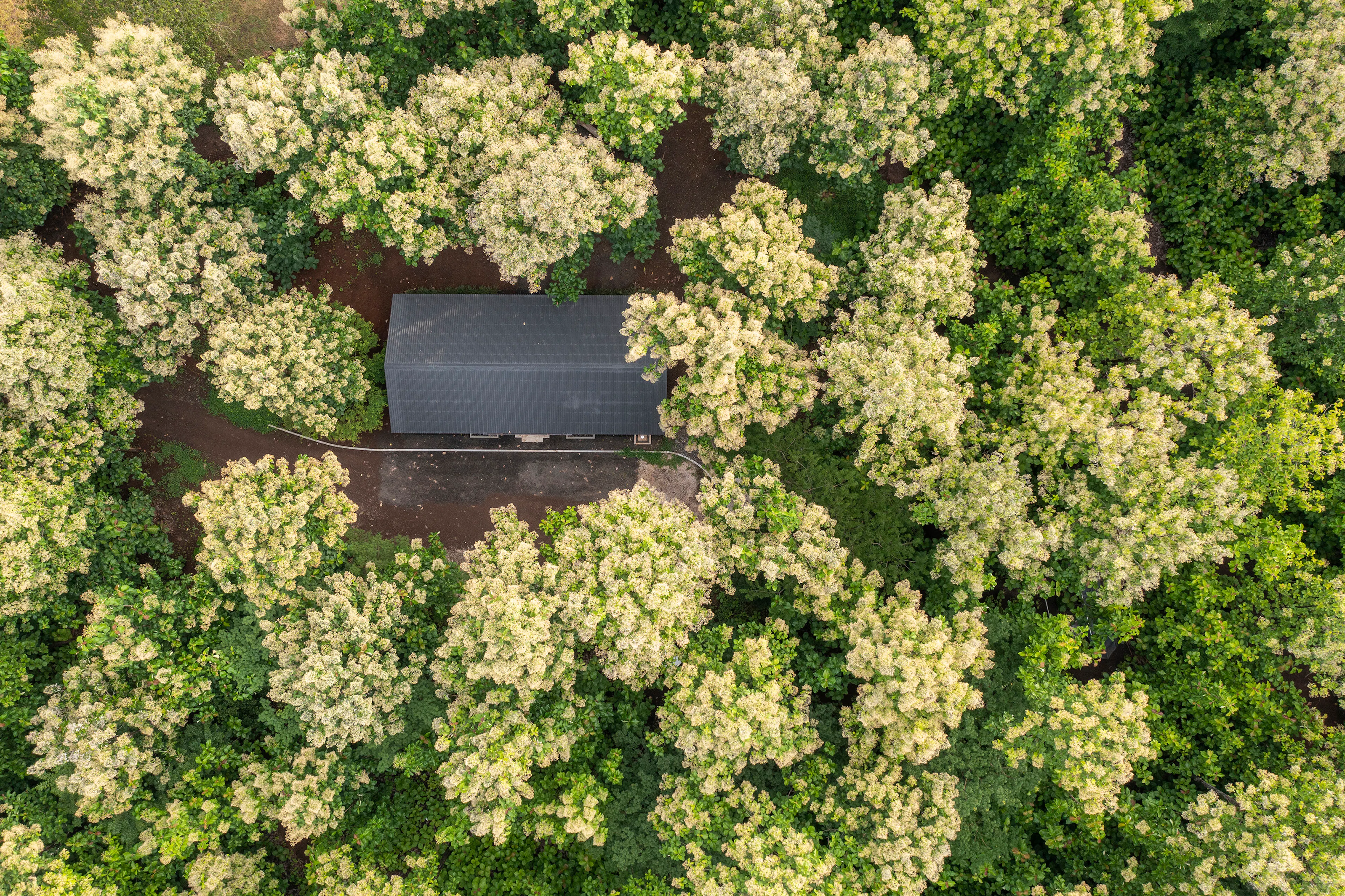 Casa Entre Tecas — 2