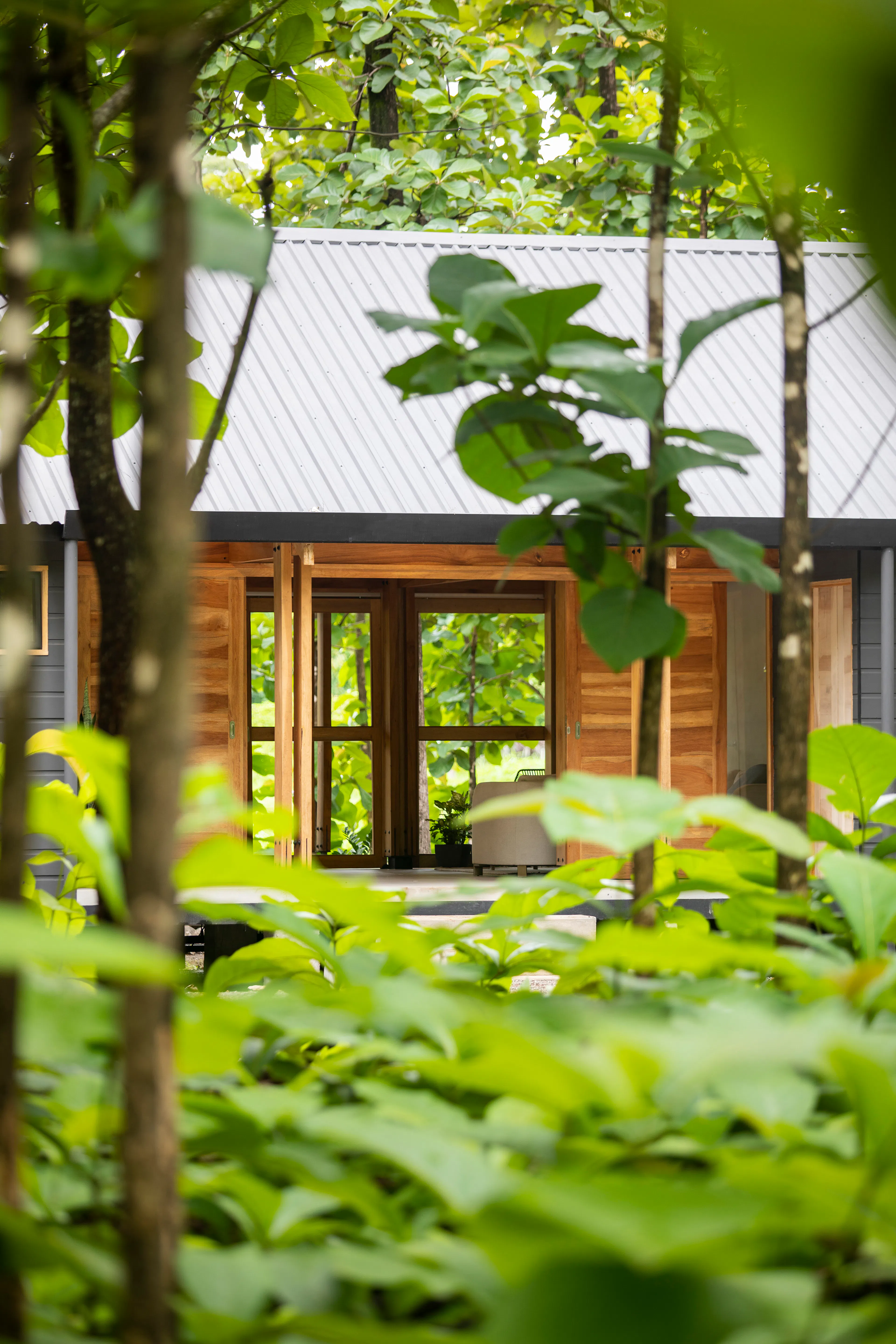 Casa Entre Tecas — 4