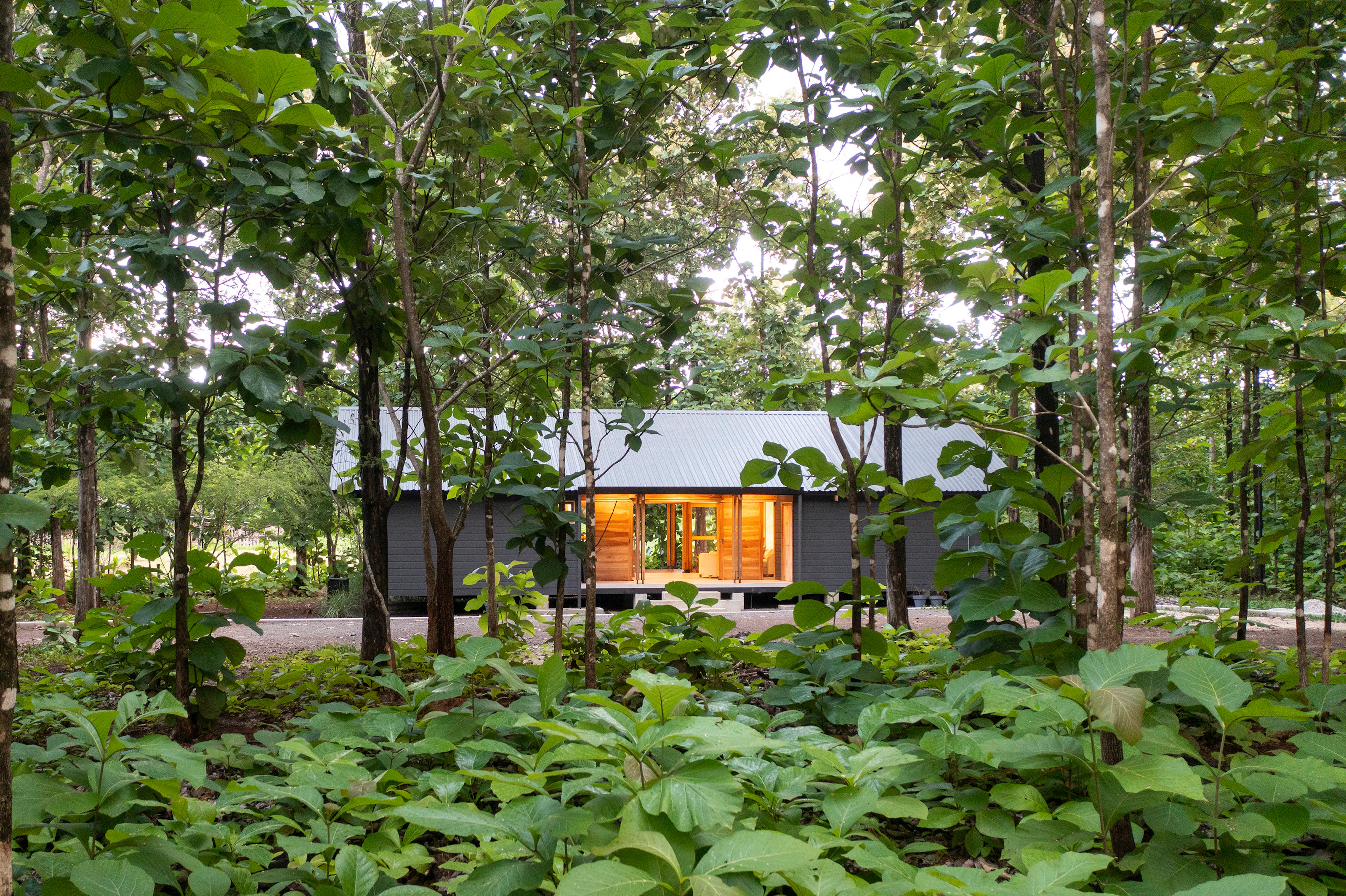 Casa Entre Tecas — 11