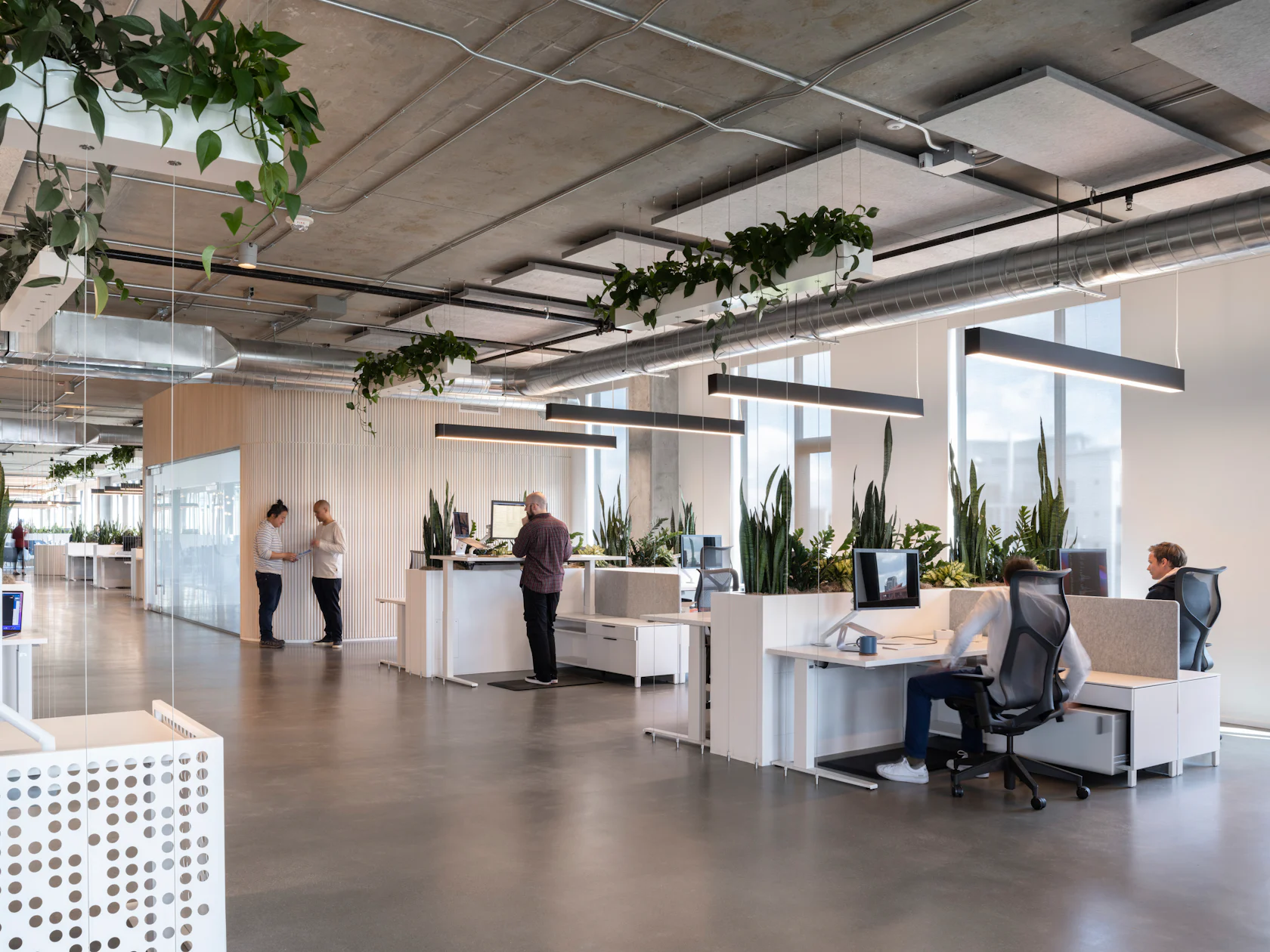 Brainium Studios by Hacker - Architizer