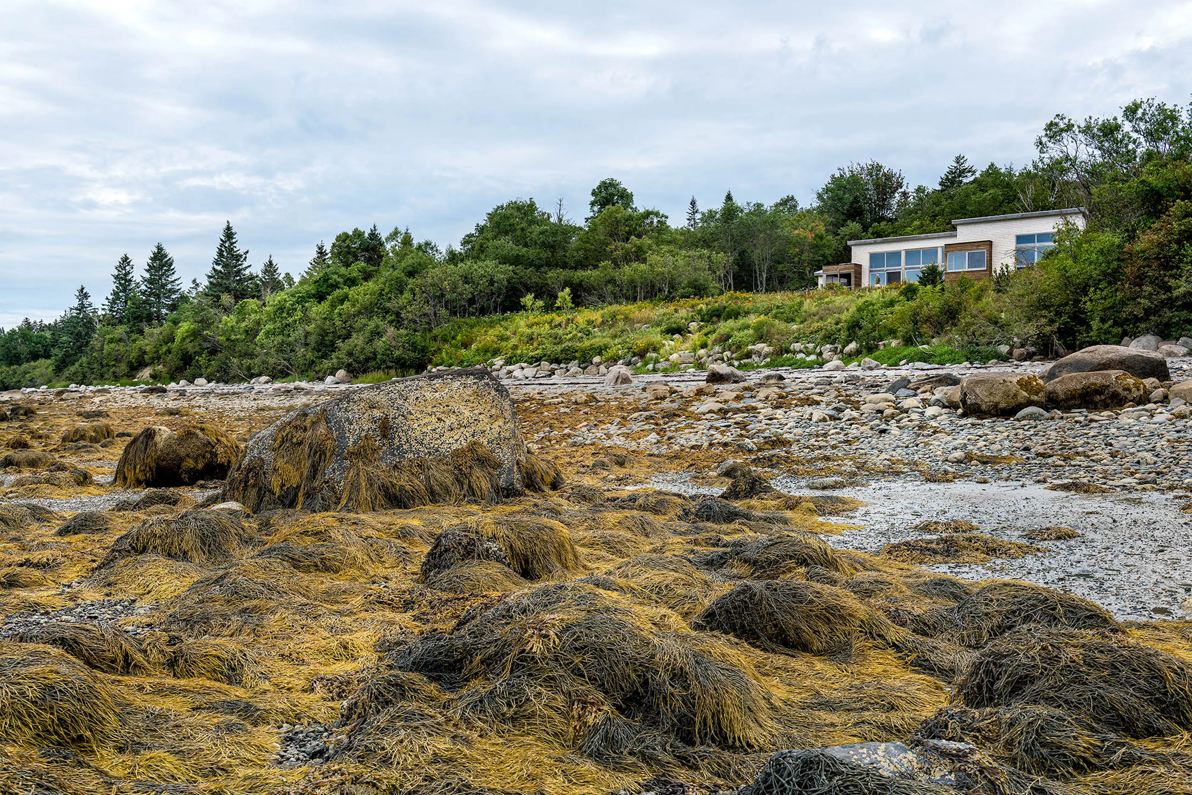 Elliott Architects — 6