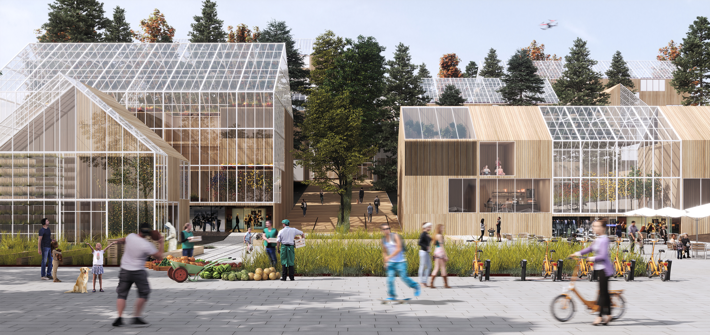 © Ashrafi & Zad Design