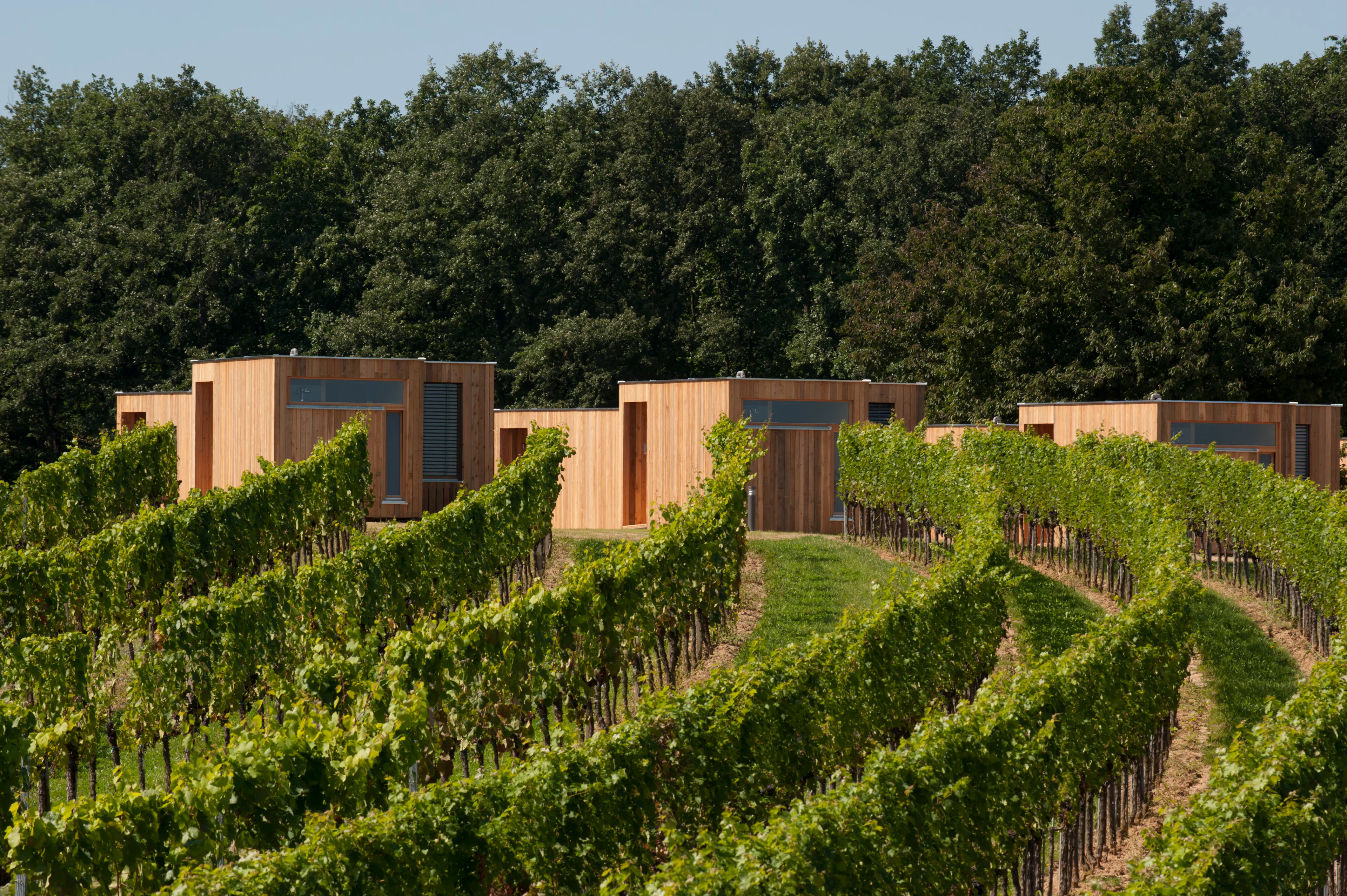 Extension "Wohnothek am Ratschen" — 2