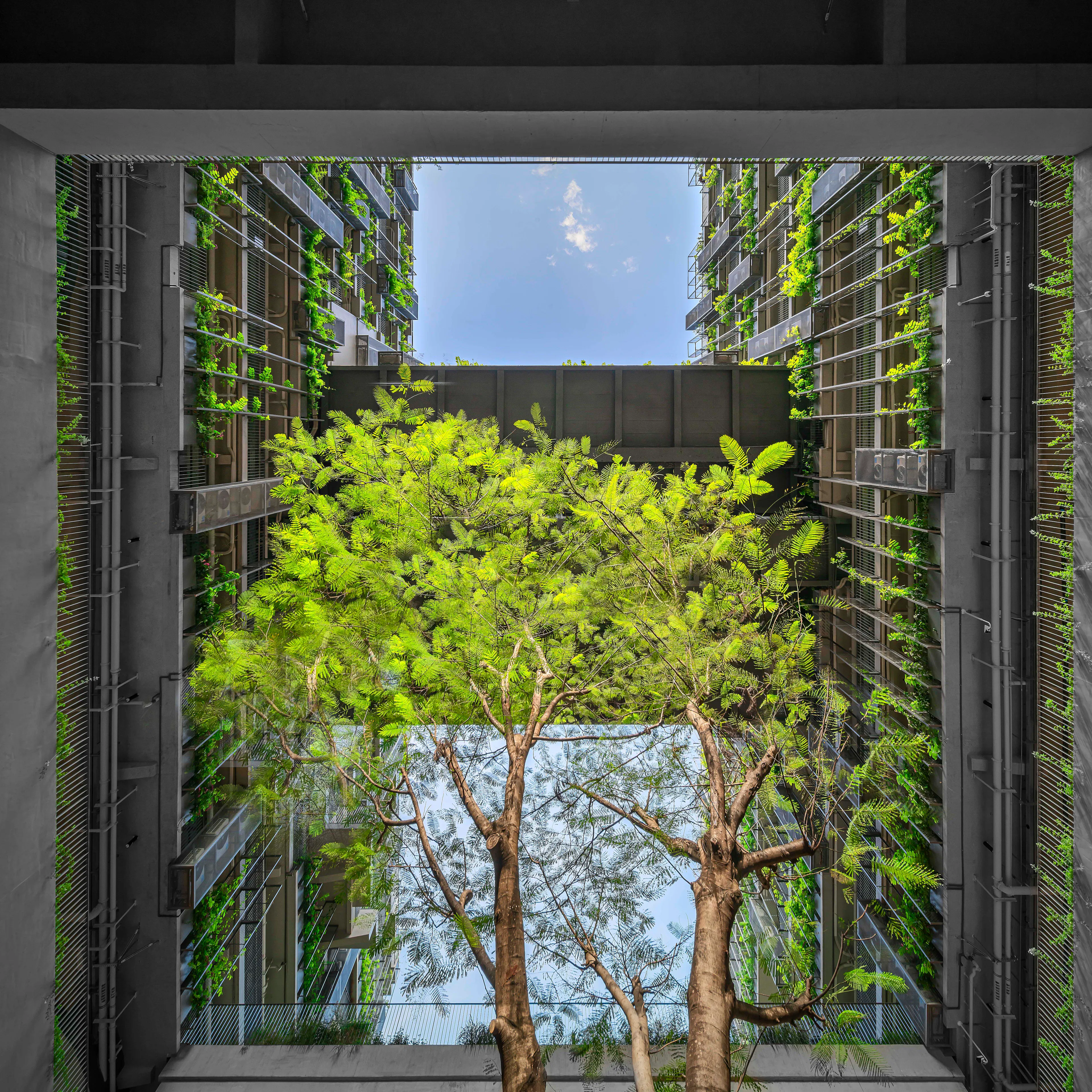 Shenzhen College of International Education — 1