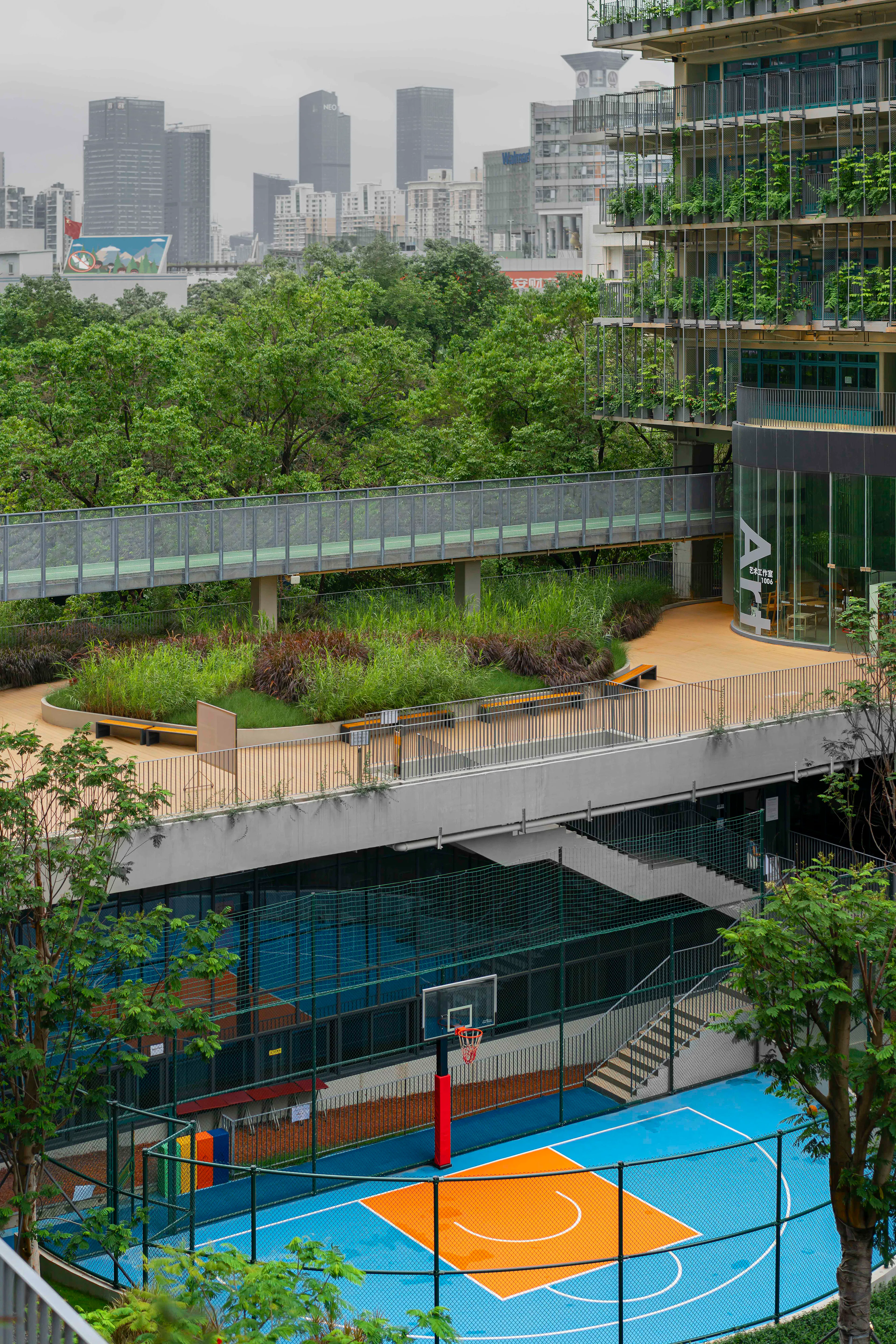 Shenzhen College of International Education — 3