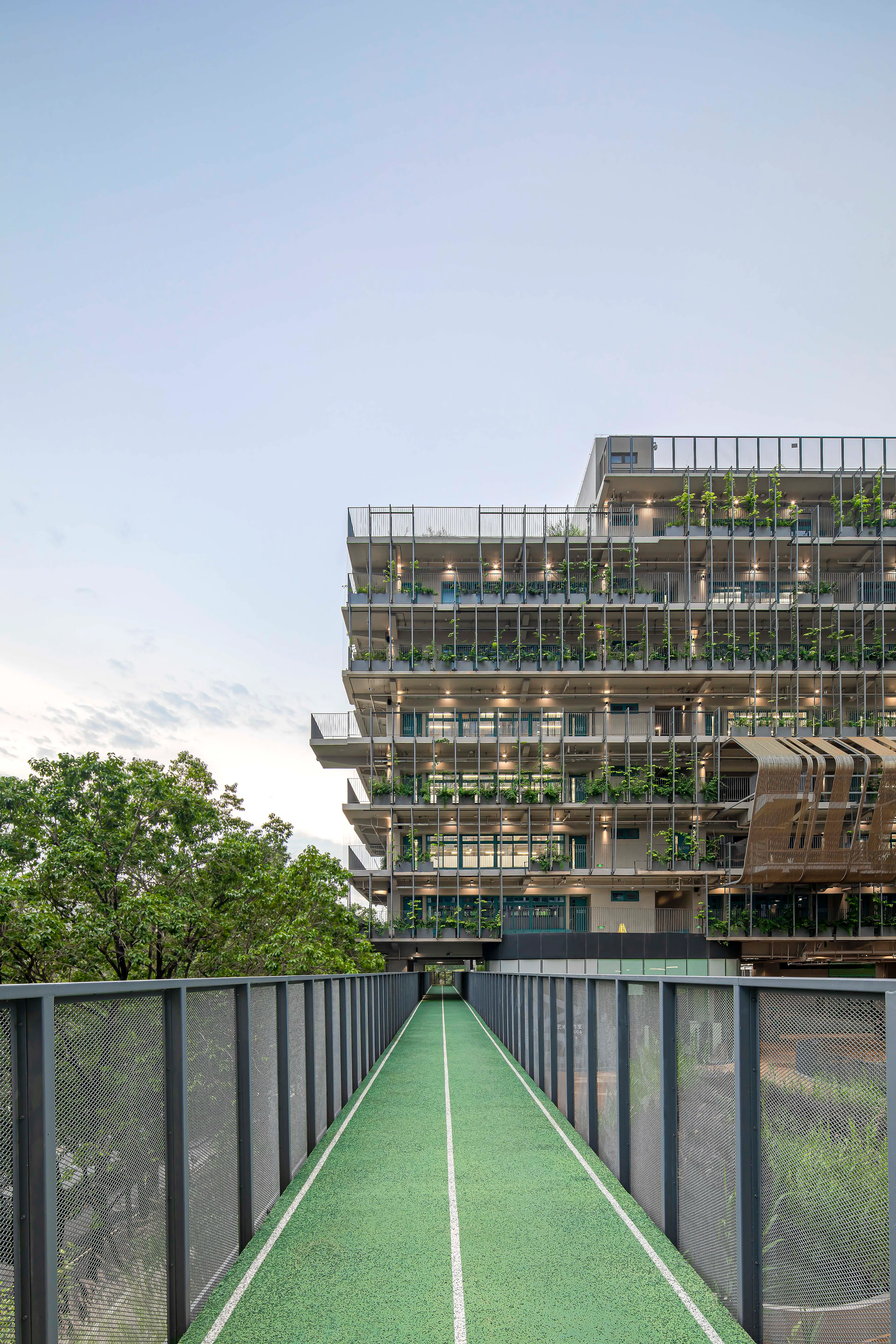 Shenzhen College of International Education — 8