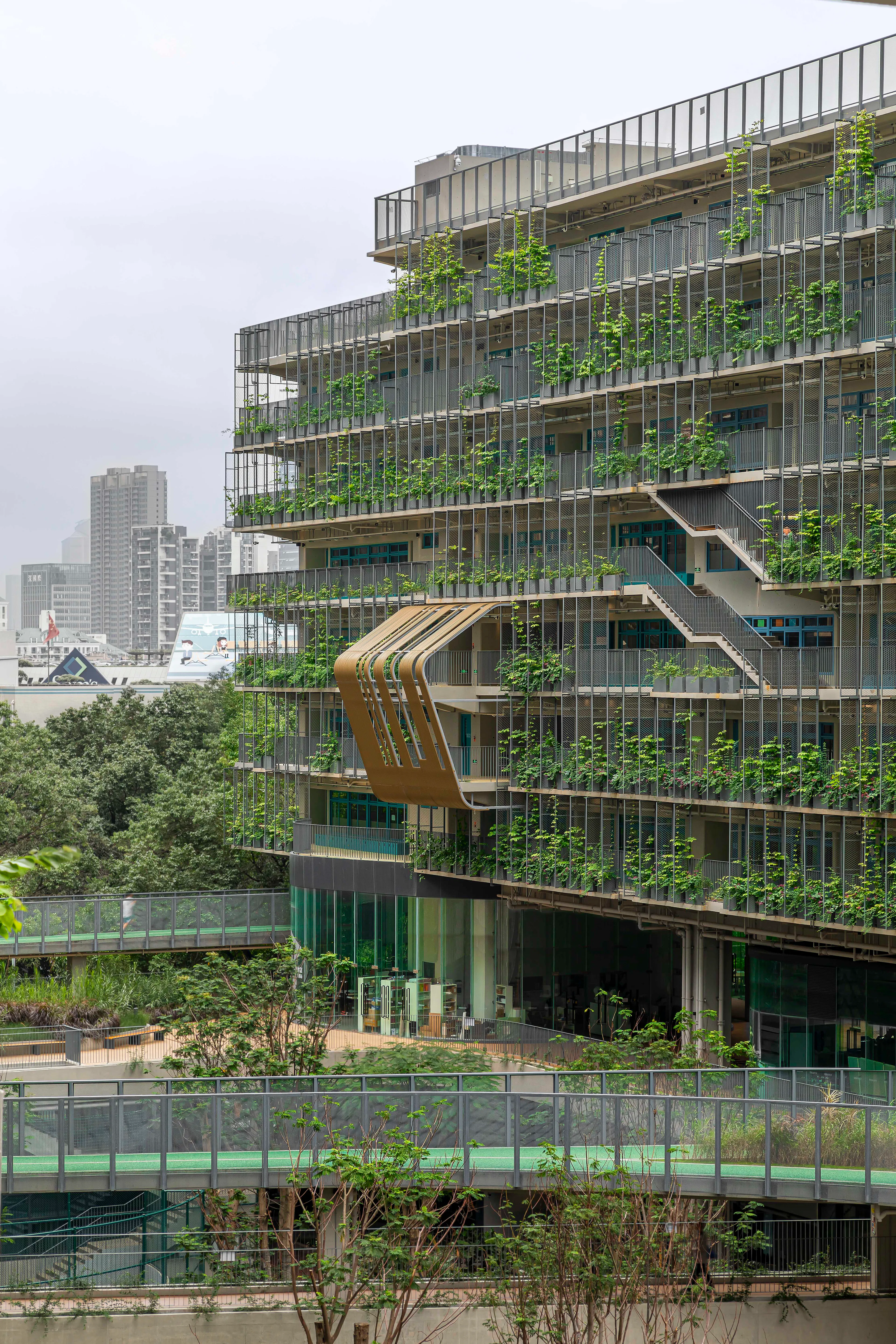 Shenzhen College of International Education — 13