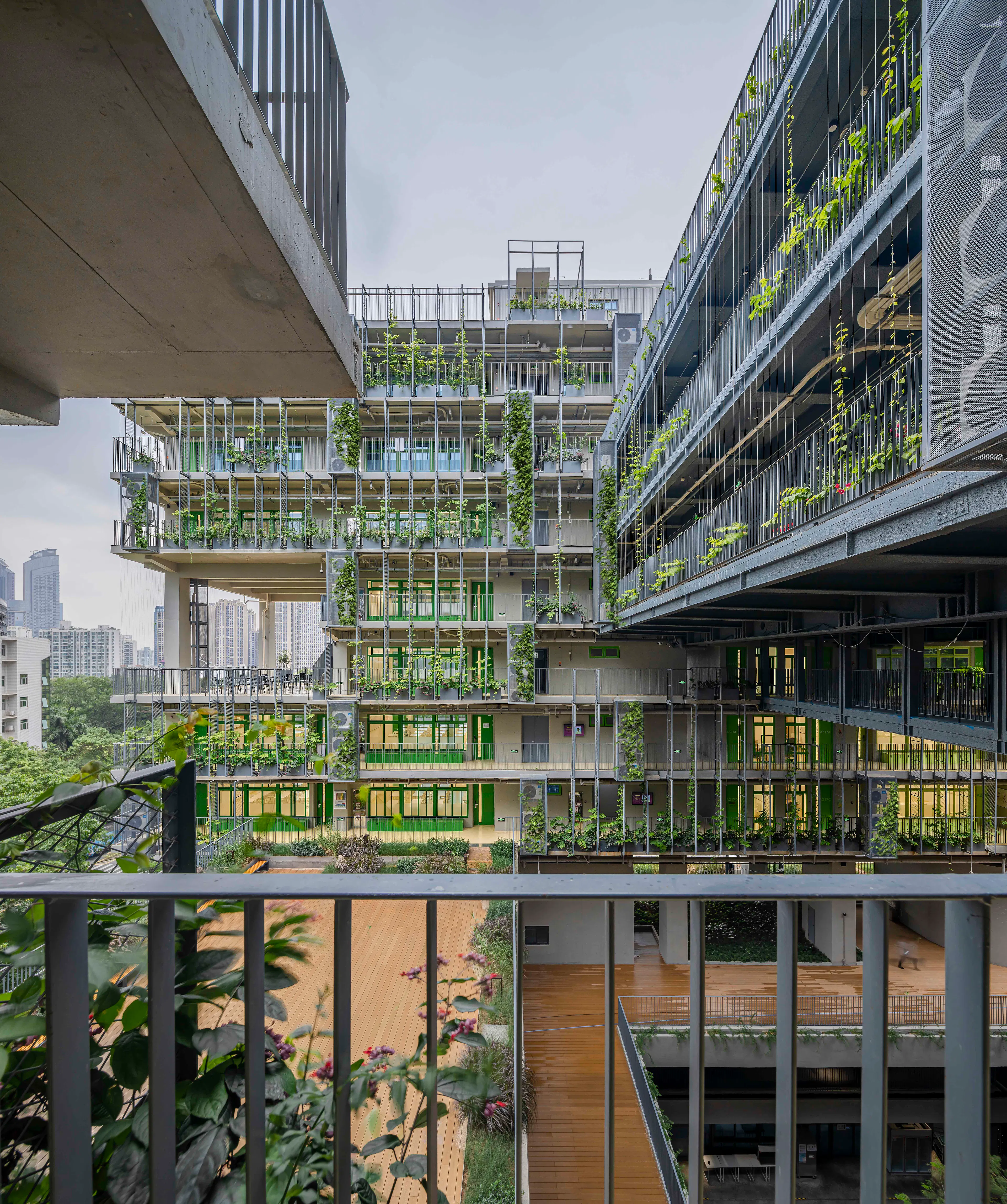 Shenzhen College of International Education — 17