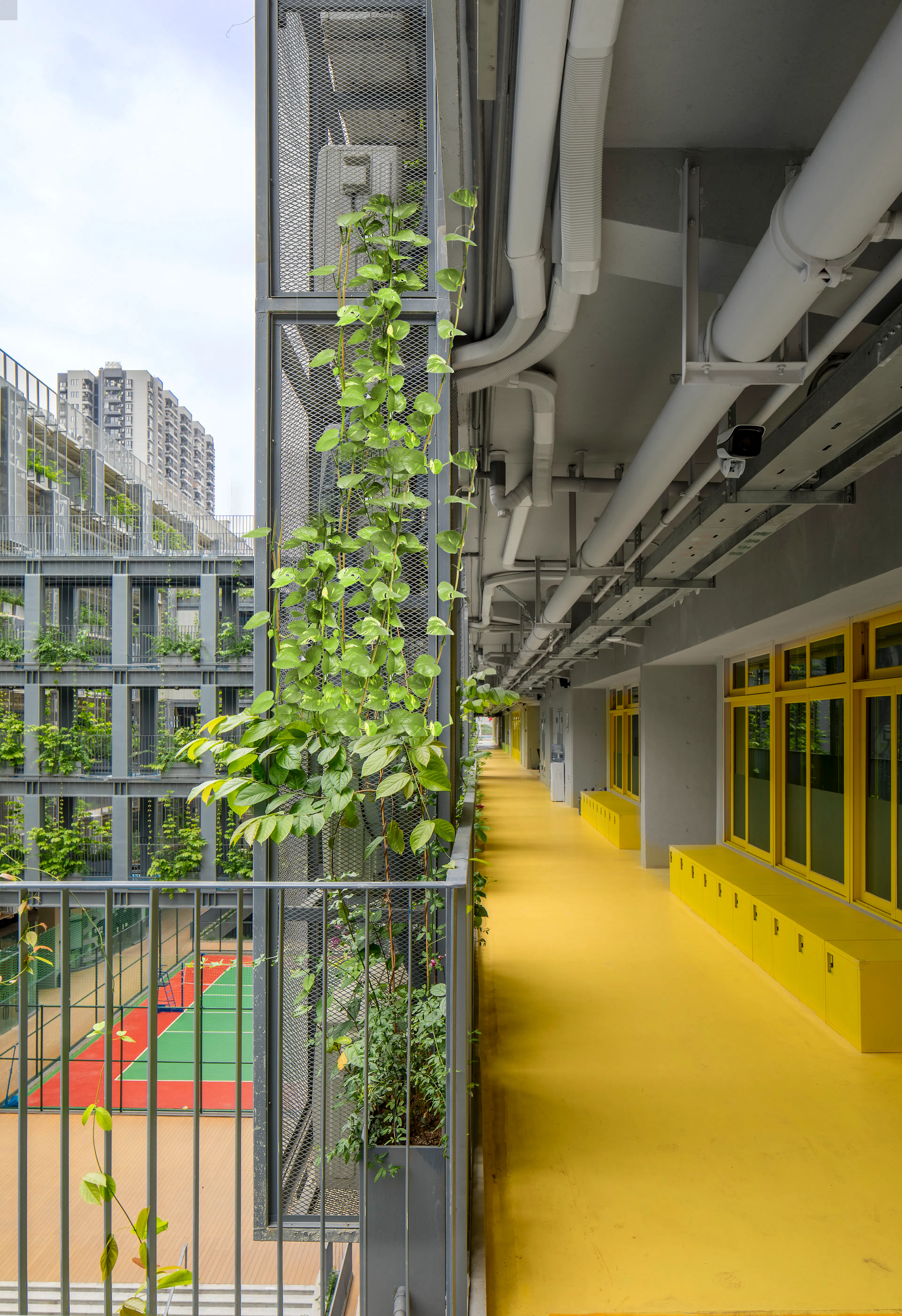 Shenzhen College of International Education — 18