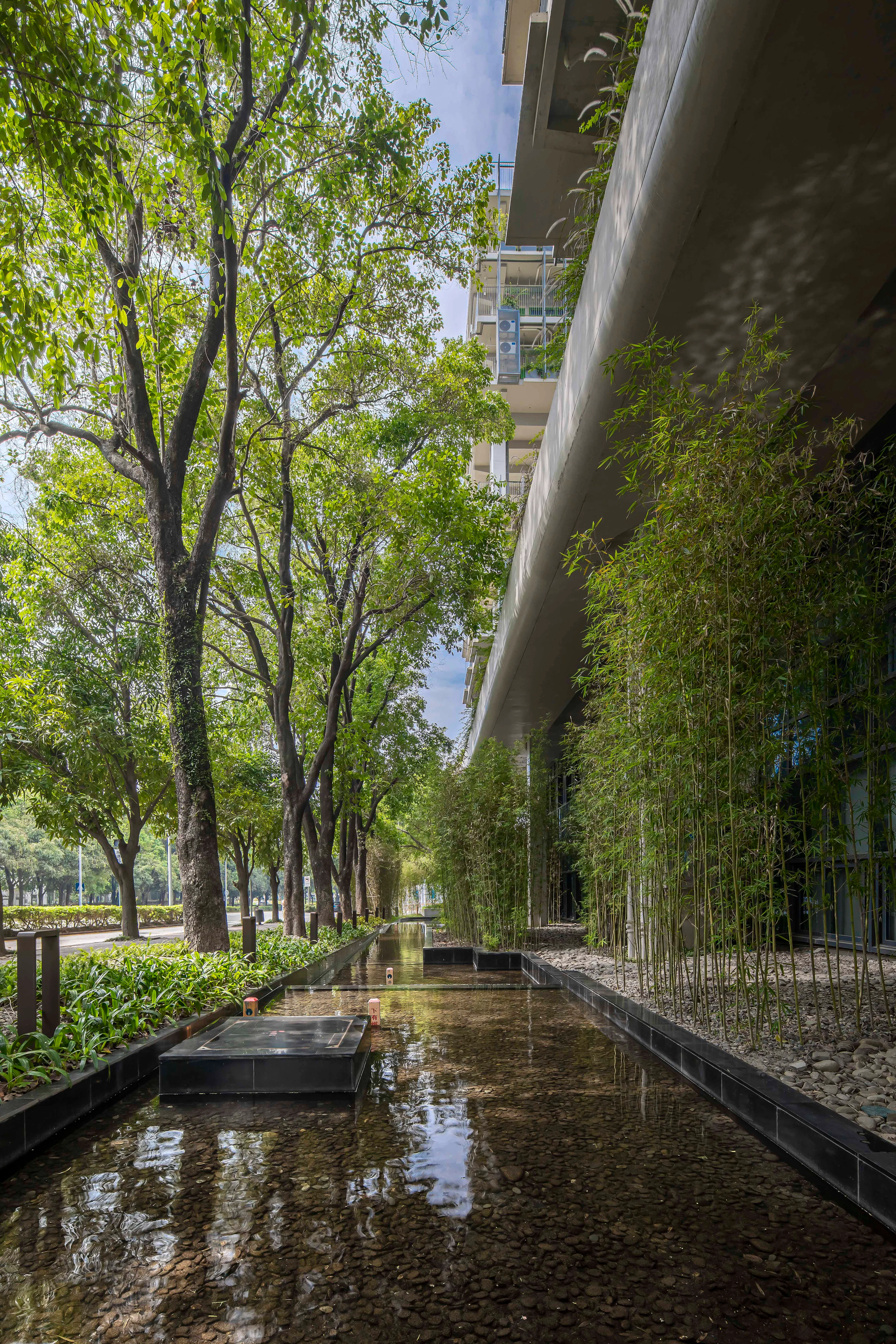 Shenzhen College of International Education — 19