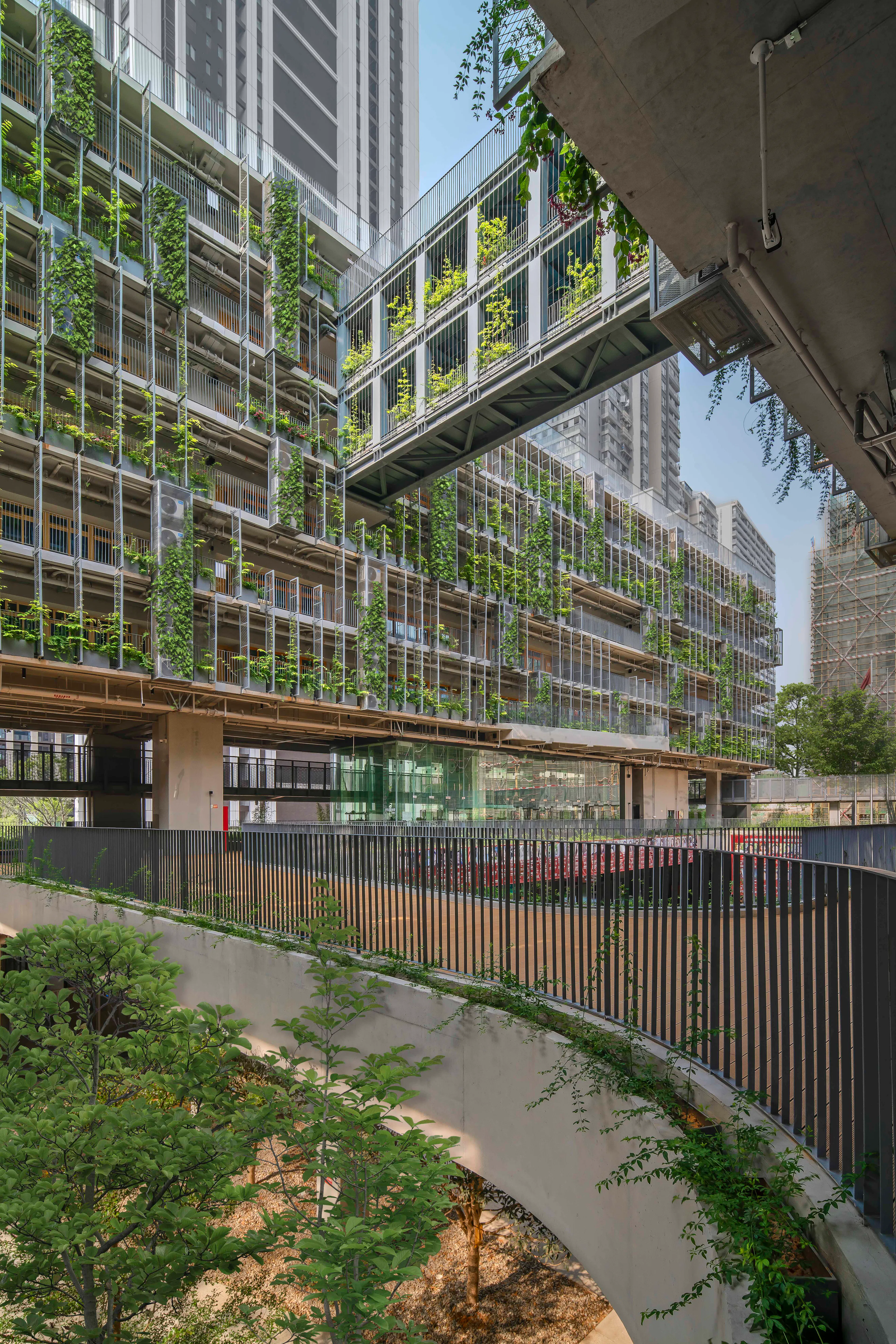 Shenzhen College of International Education — 20