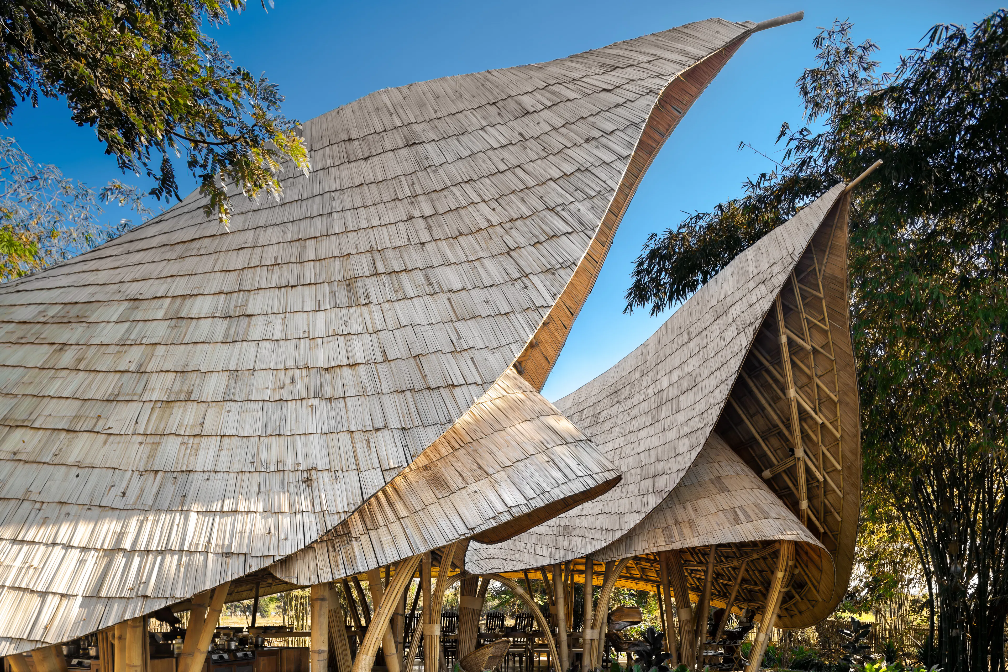 The Bull @ Zab e Lee Cooking School — 3