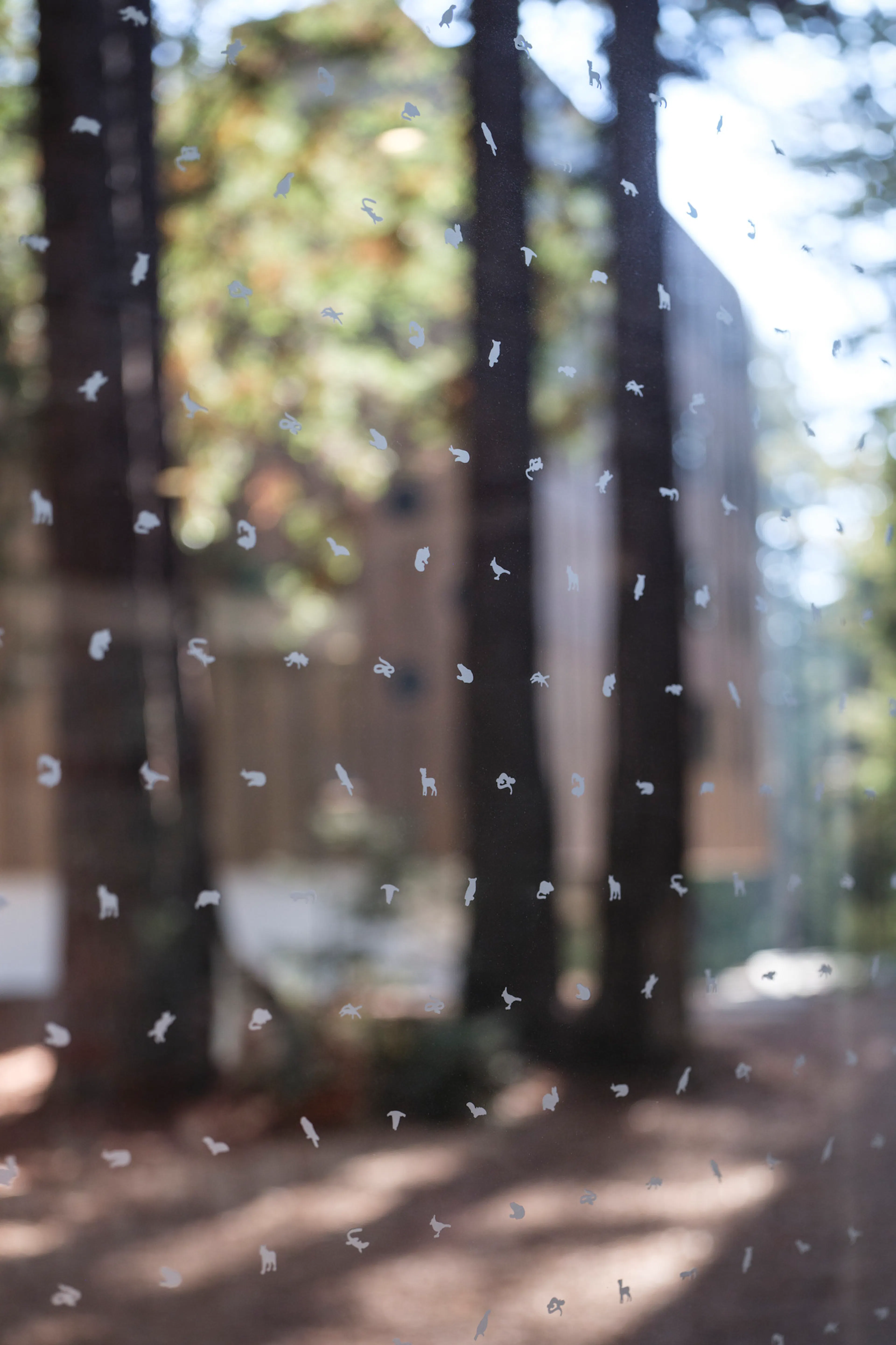 Kresge College Expansion at the University of California, Santa Cruz — 8