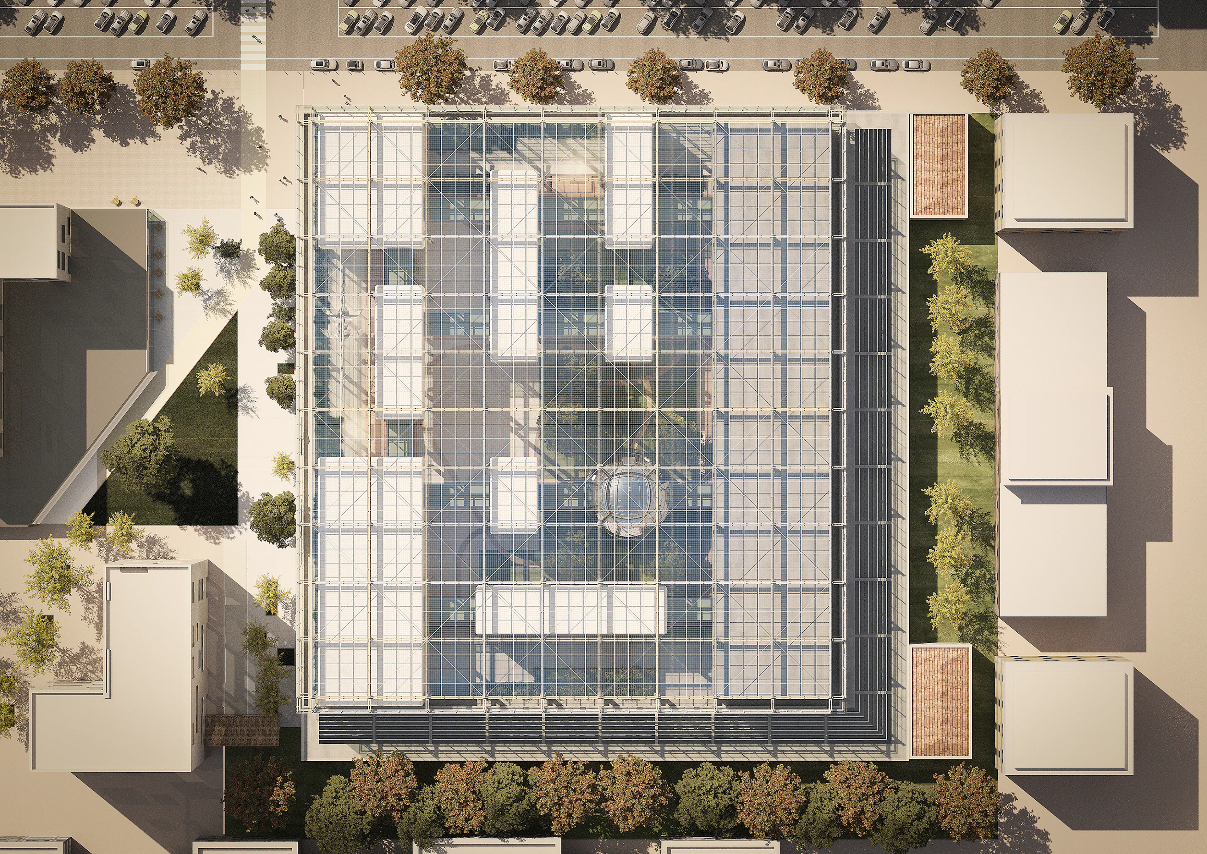 Science Forest — 7