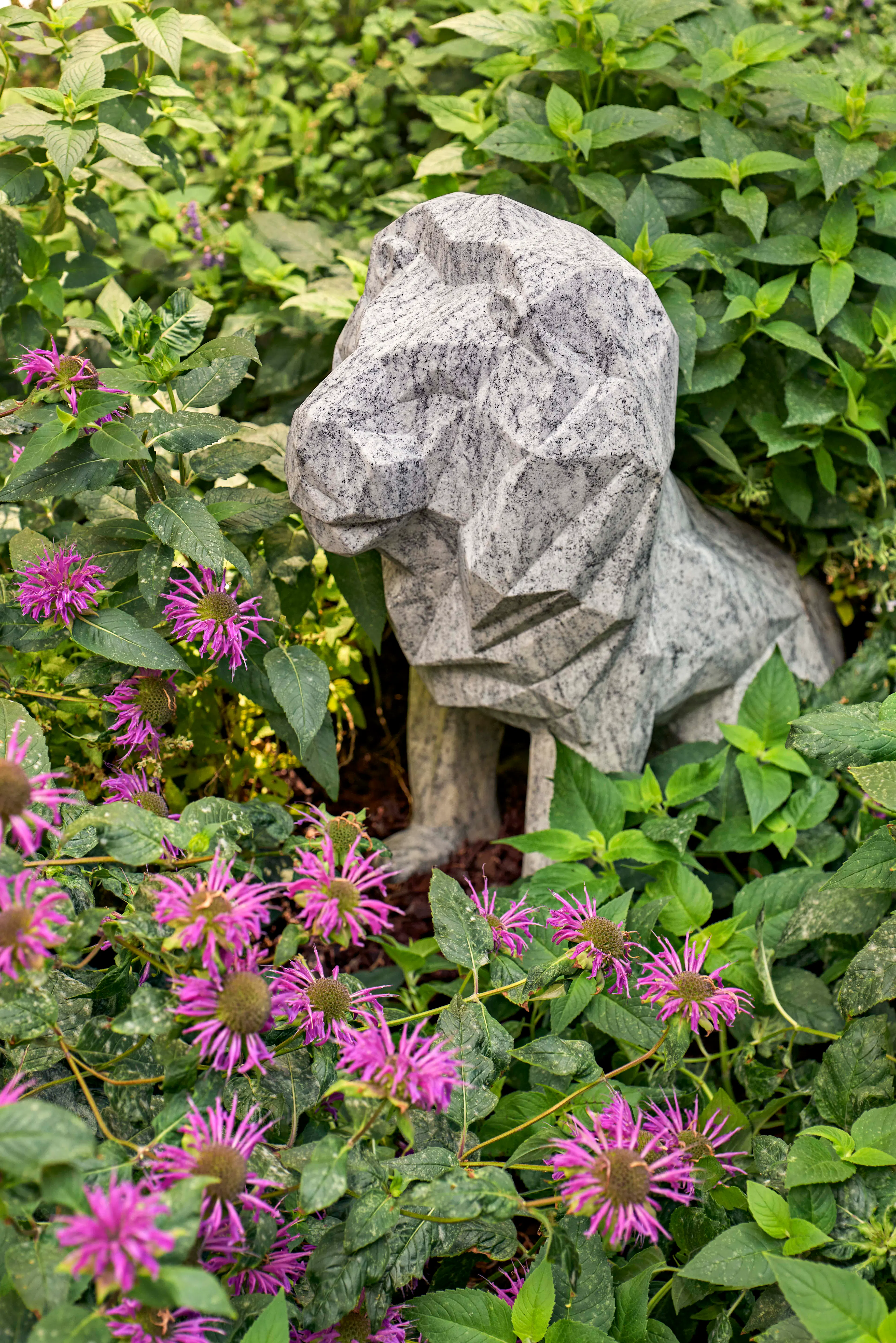Boston Children's Hospital Urban Green Design — 3