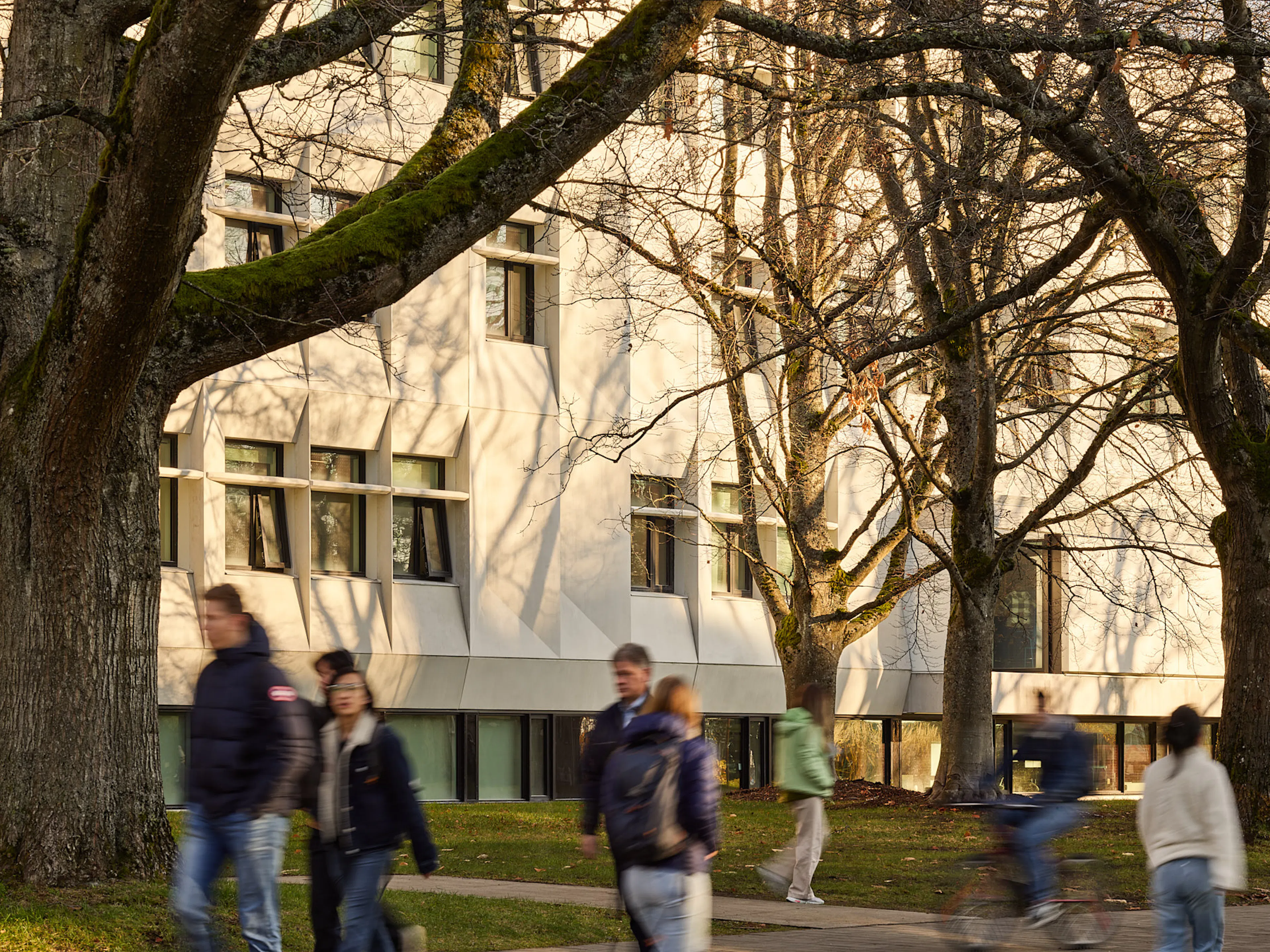 UBC MacLeod Renewal — 32