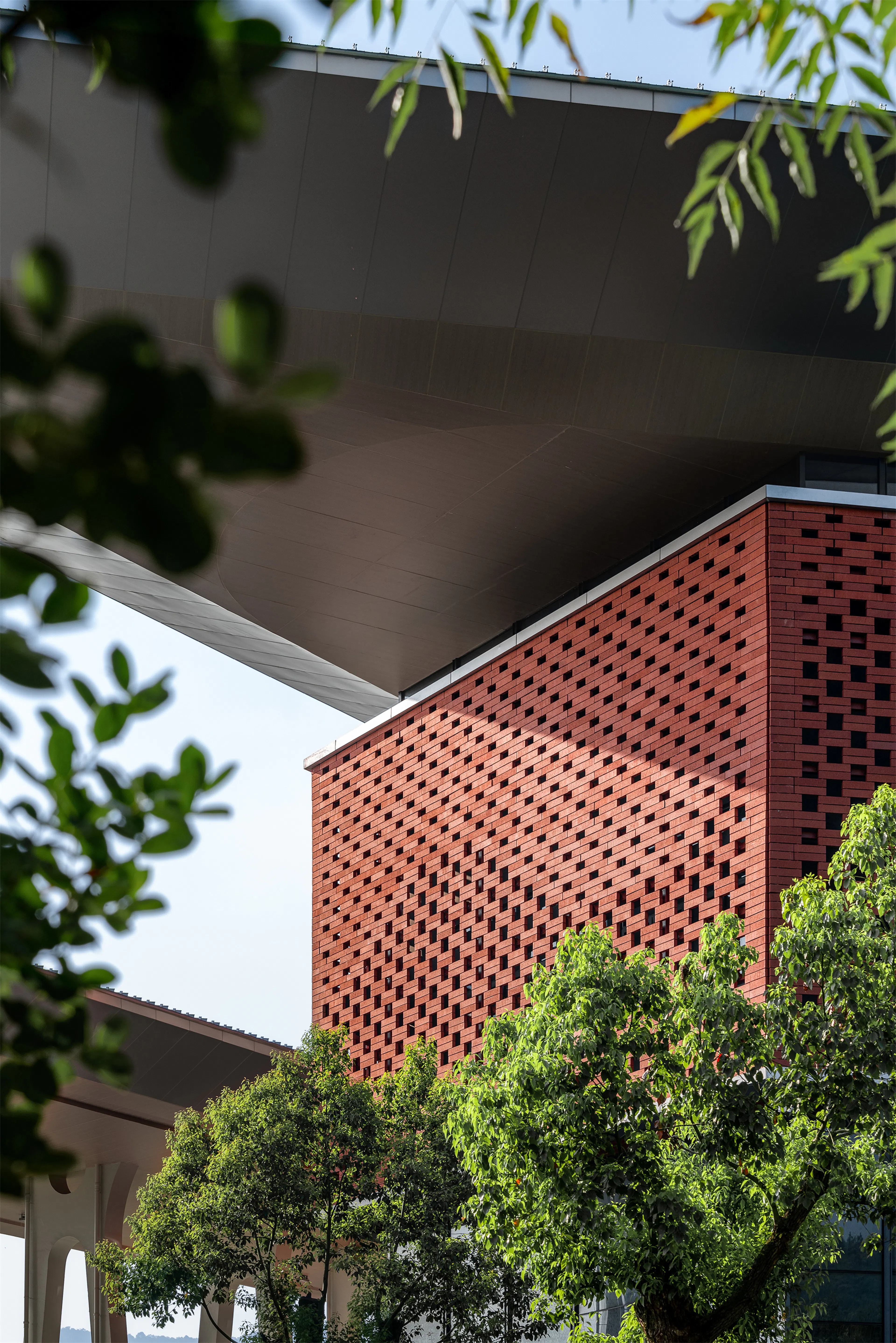 The Asian Games Cricket Field in Pingfeng Campus of Zhejiang University of Technology — 8