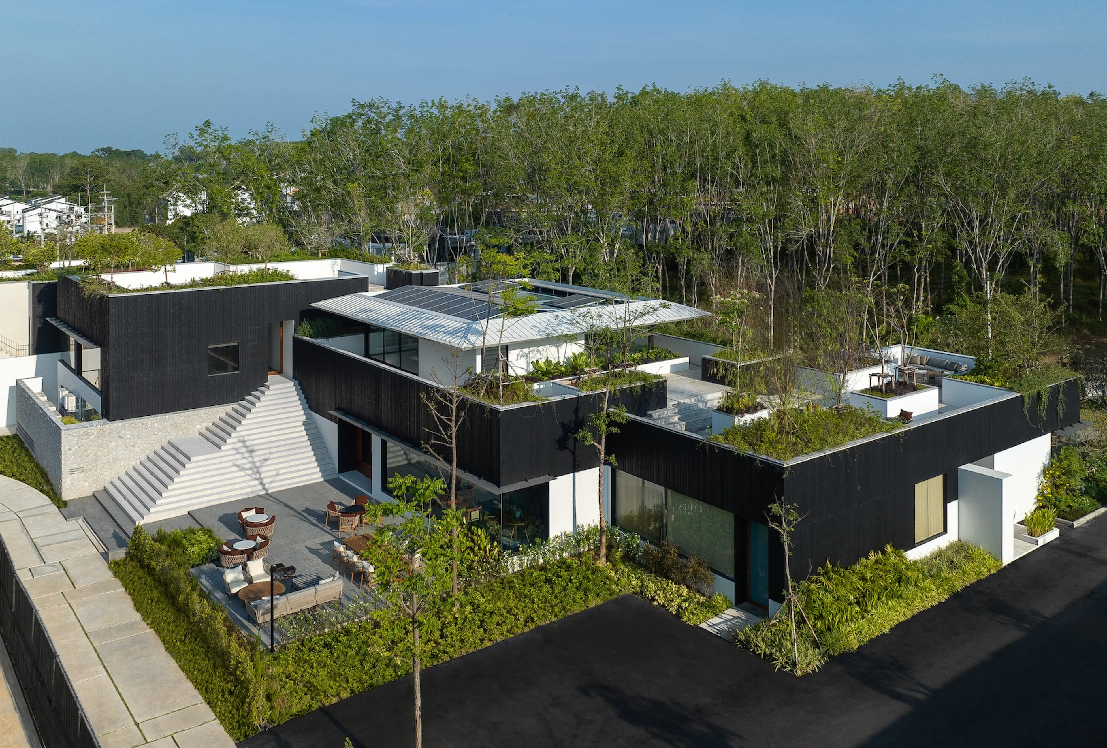 Tree O'clock — Villa Qabalah