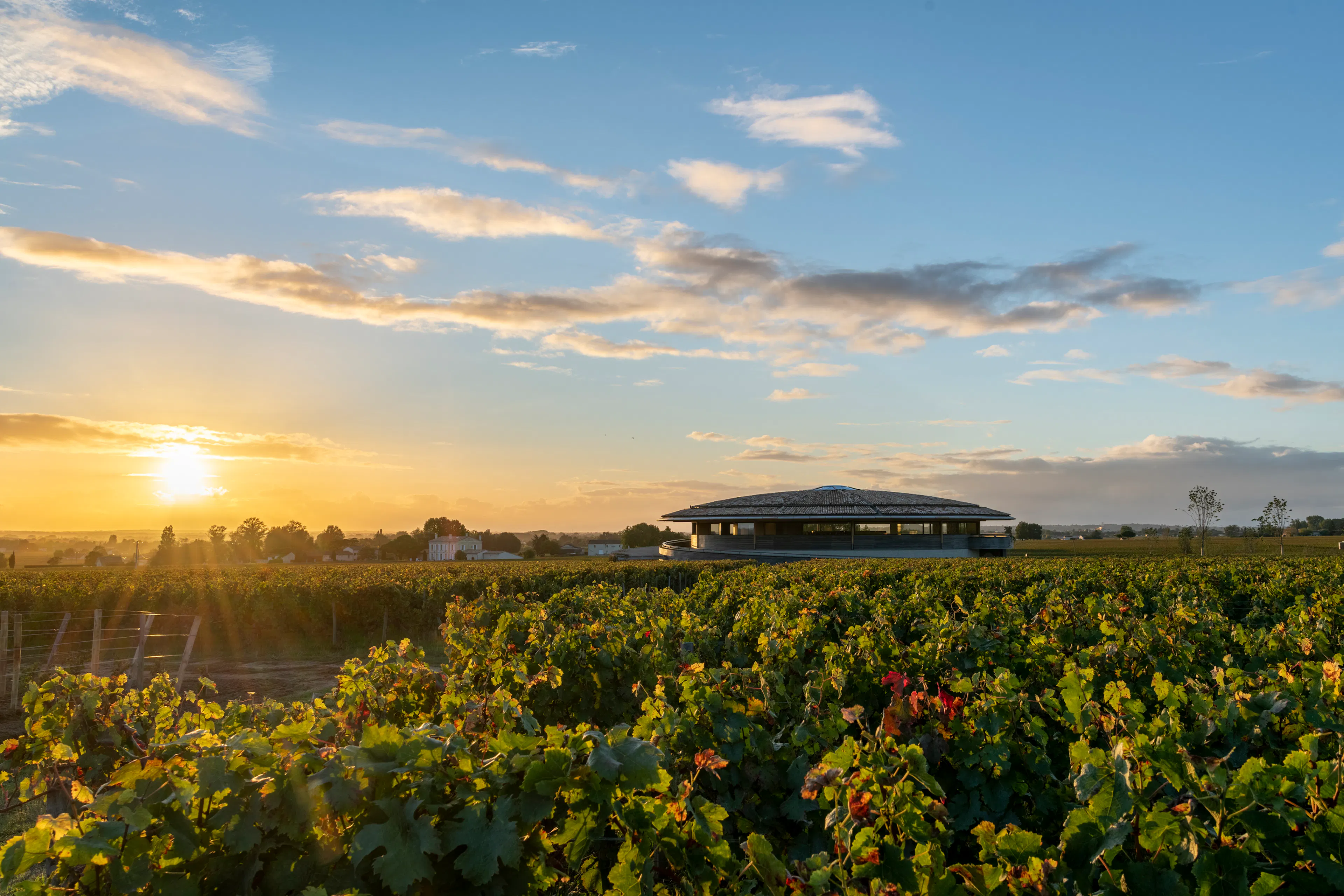 Apple The Exchange TRX — 28