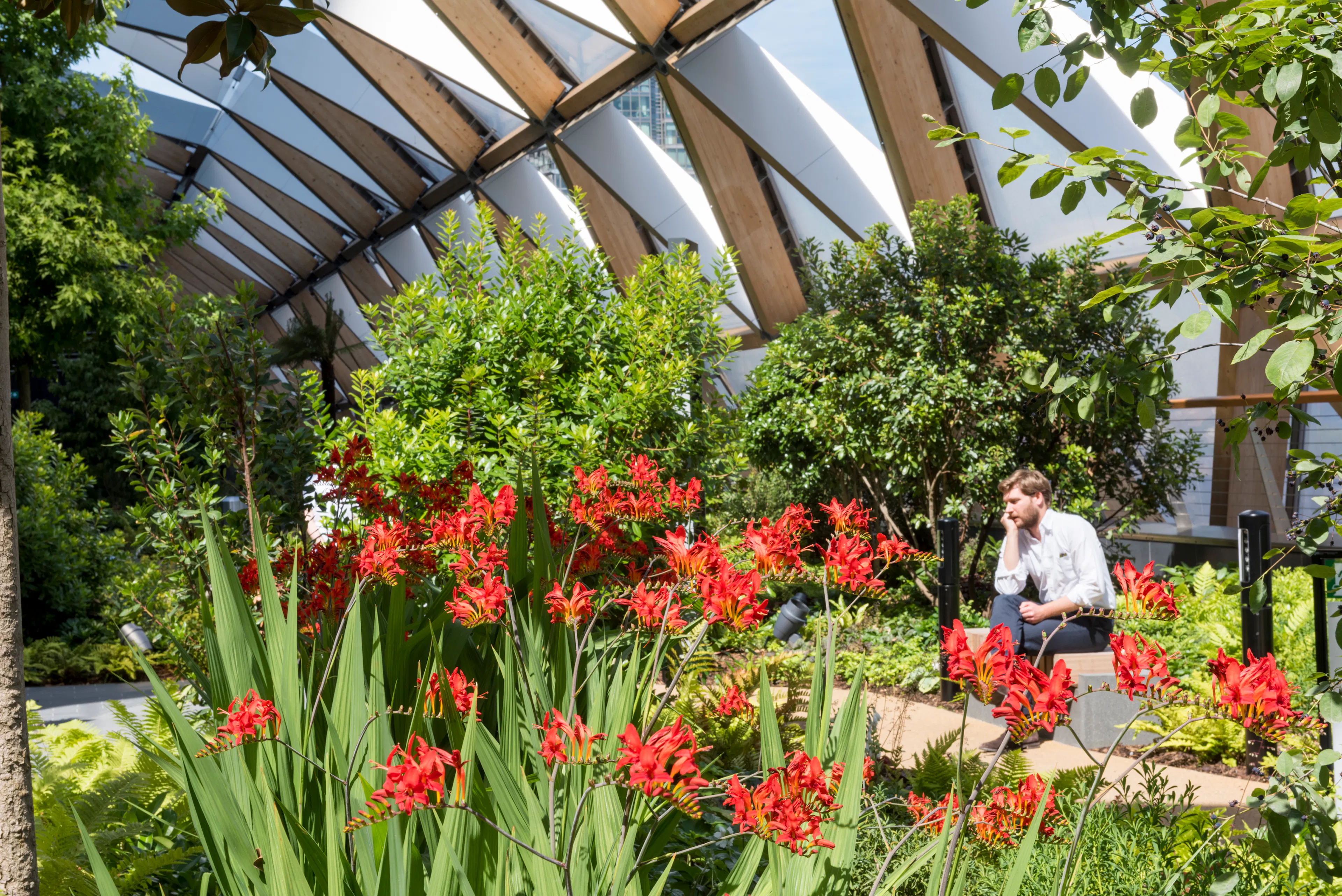 Canary Wharf Crossrail — 7