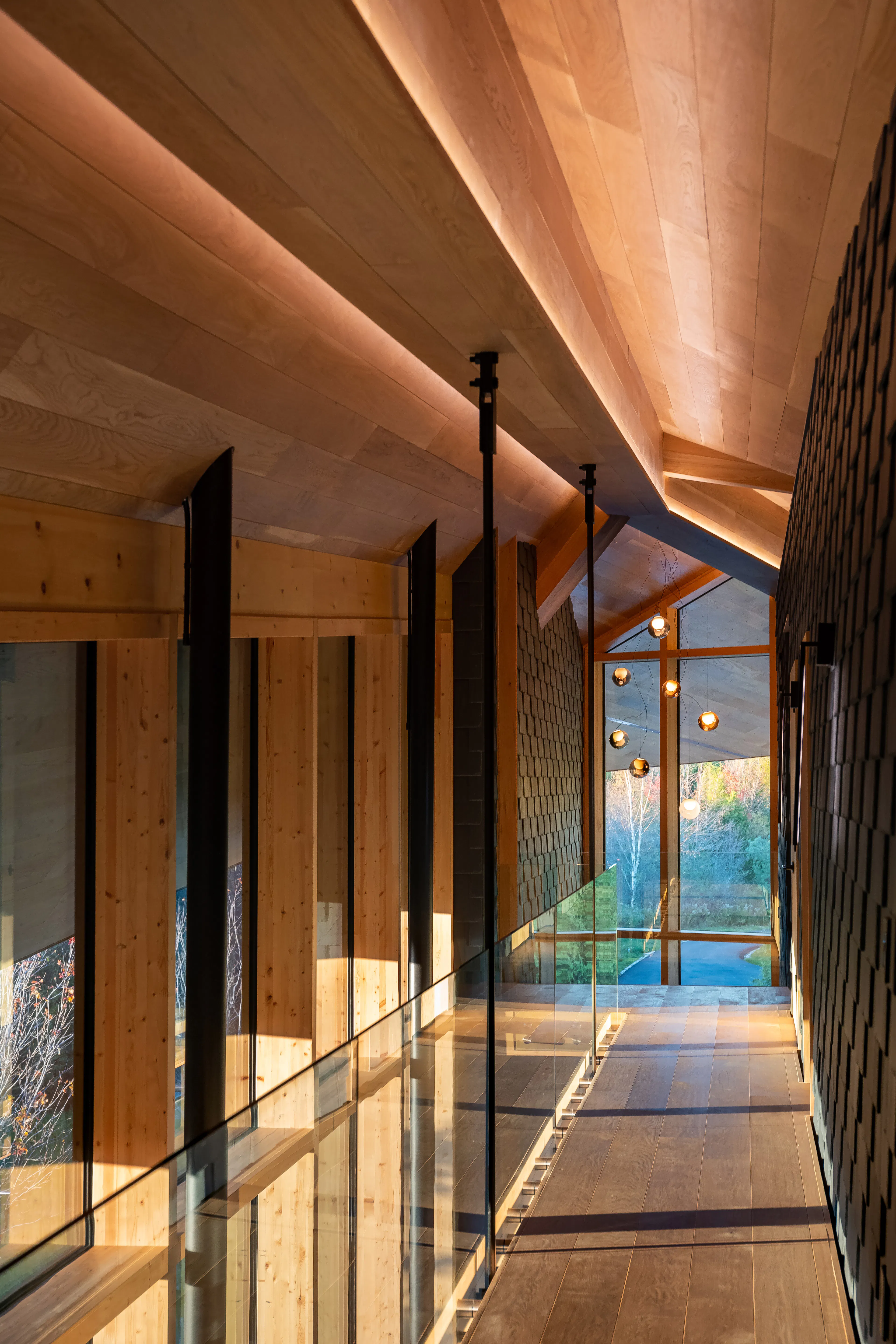 Forest Retreat — 4