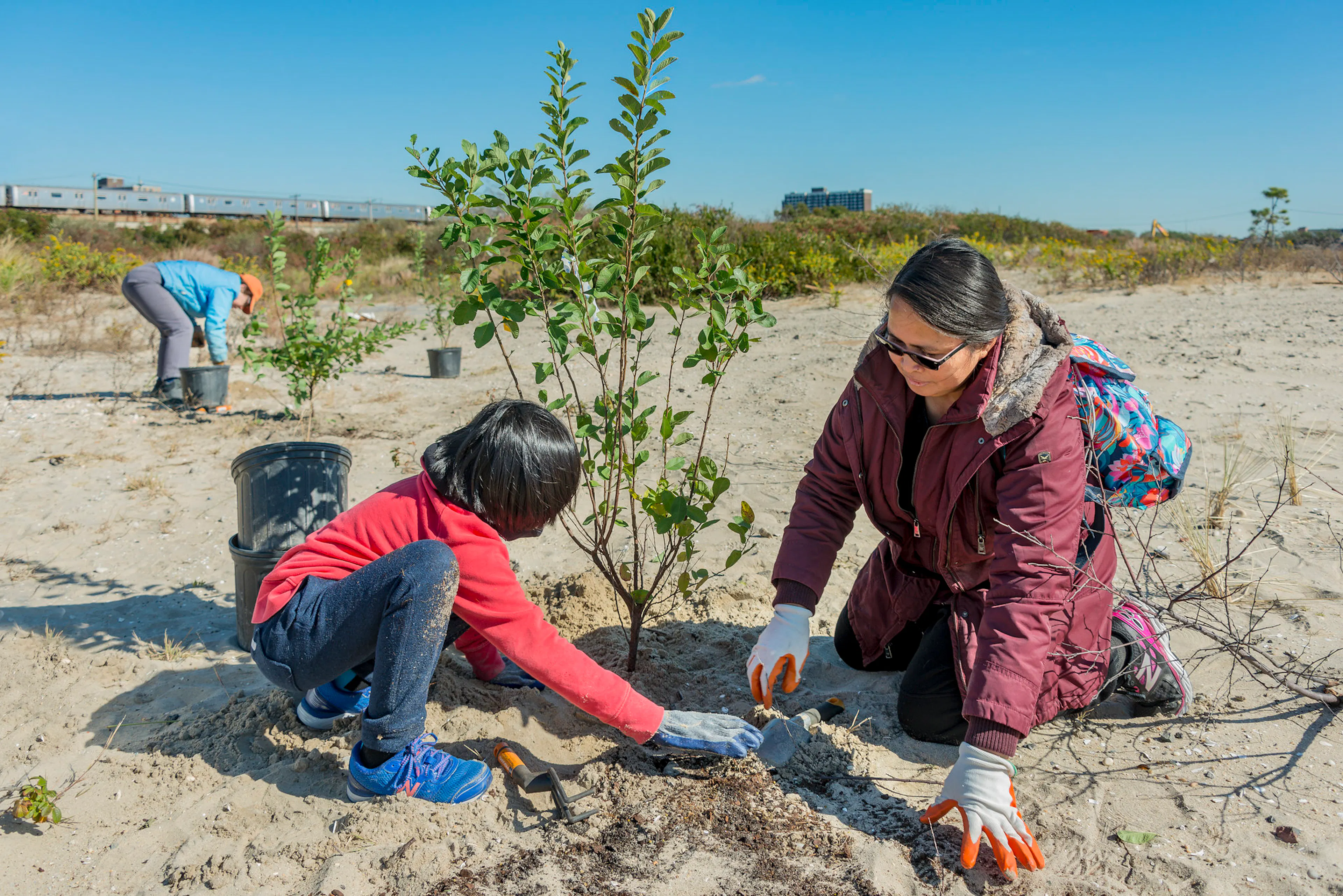 Arverne East Coastal Conservation Center and Nature Preserve — 11