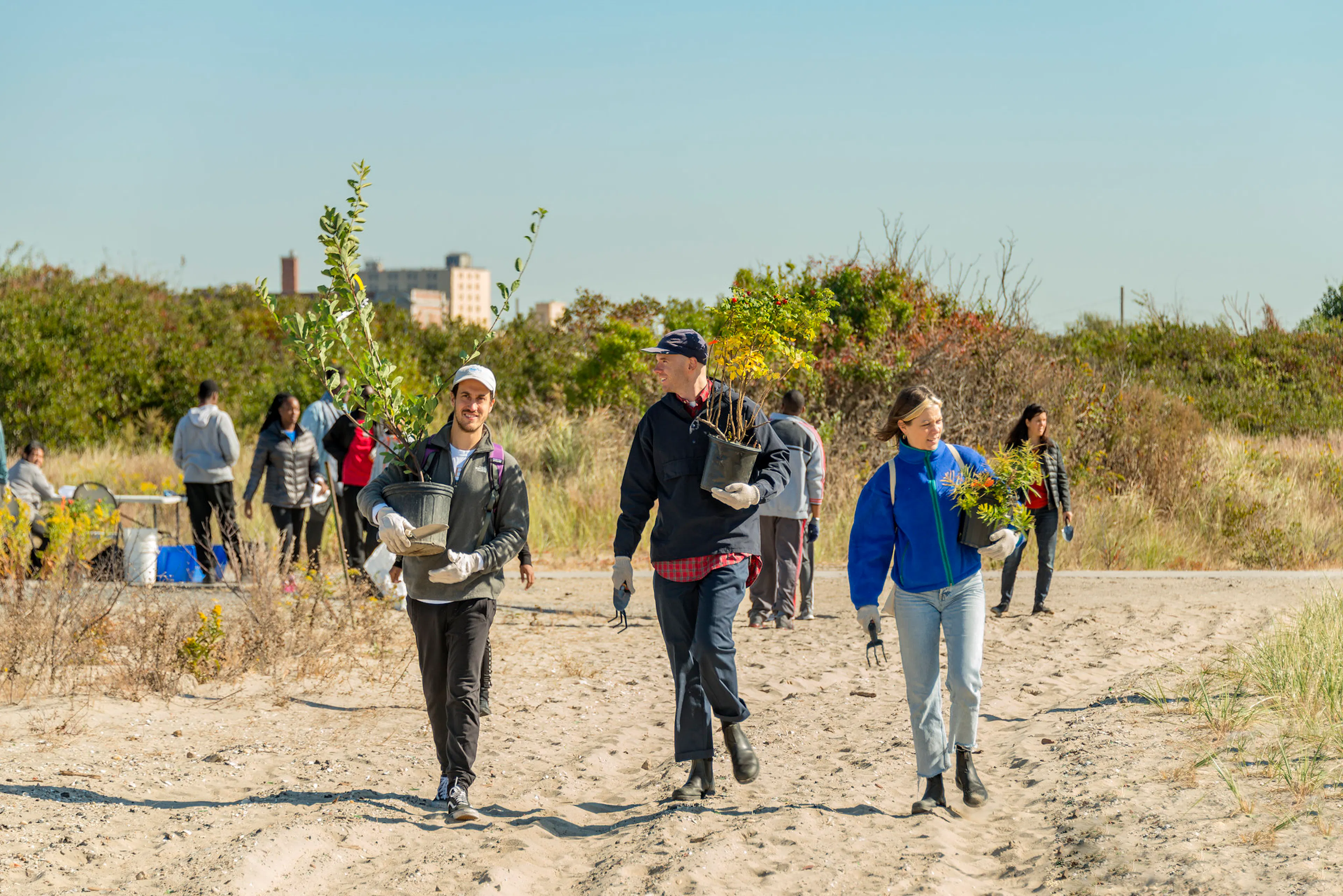 Arverne East Coastal Conservation Center and Nature Preserve — 10