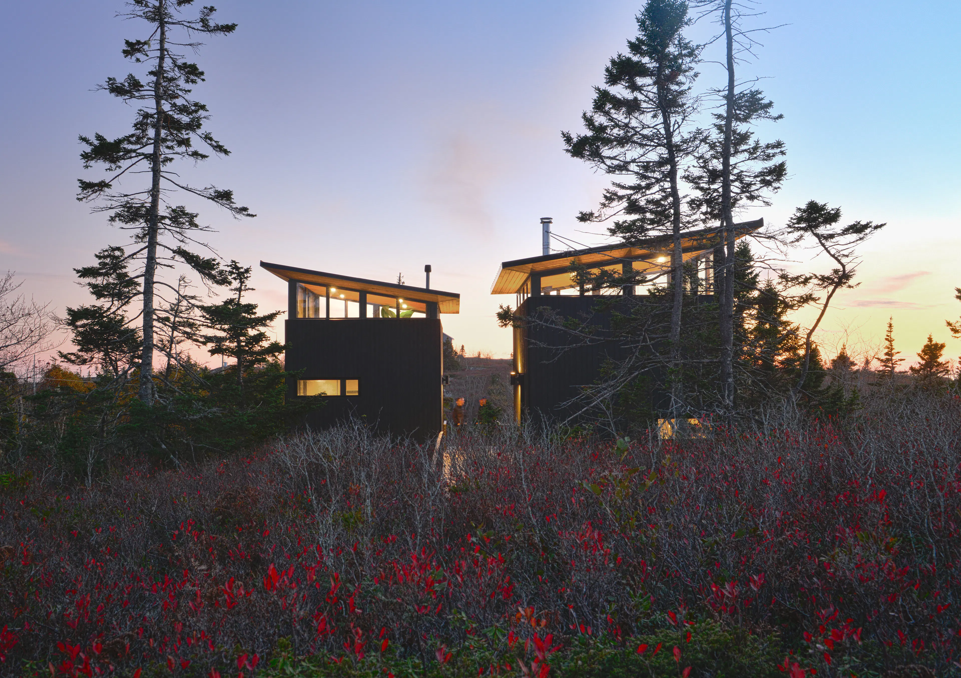 Lambkill Ridge — 6