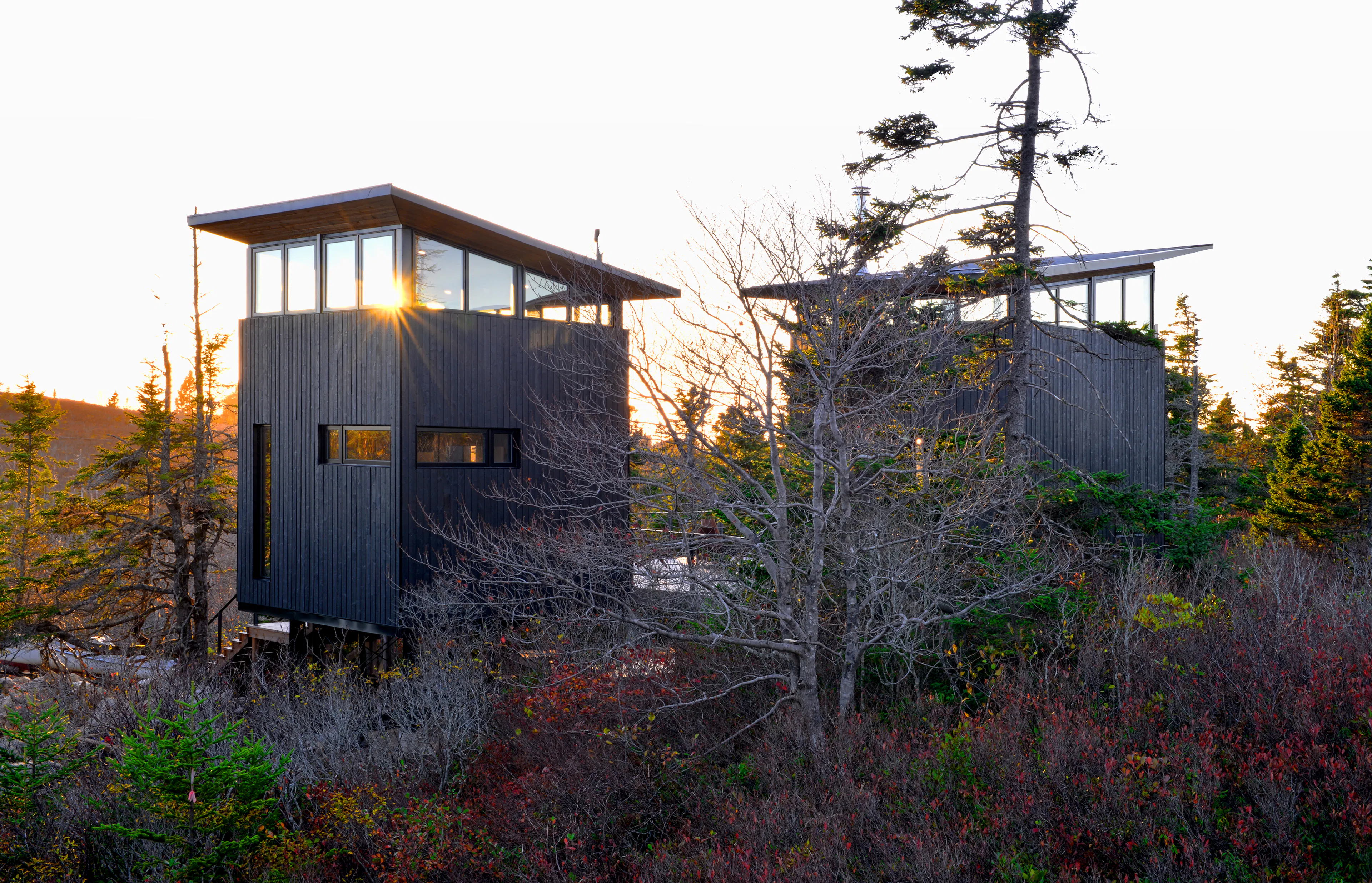 Lambkill Ridge — 7