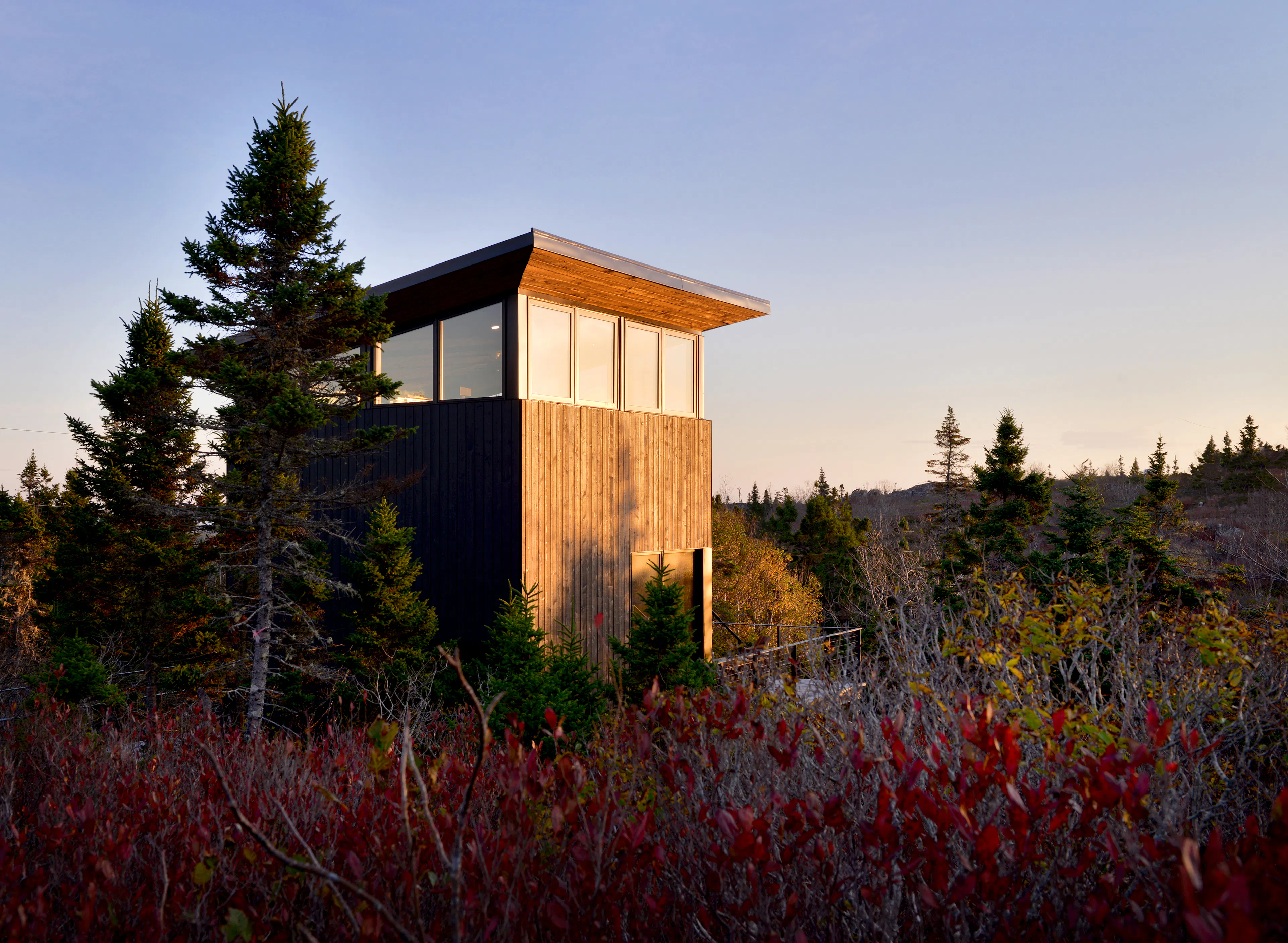 Lambkill Ridge — 3