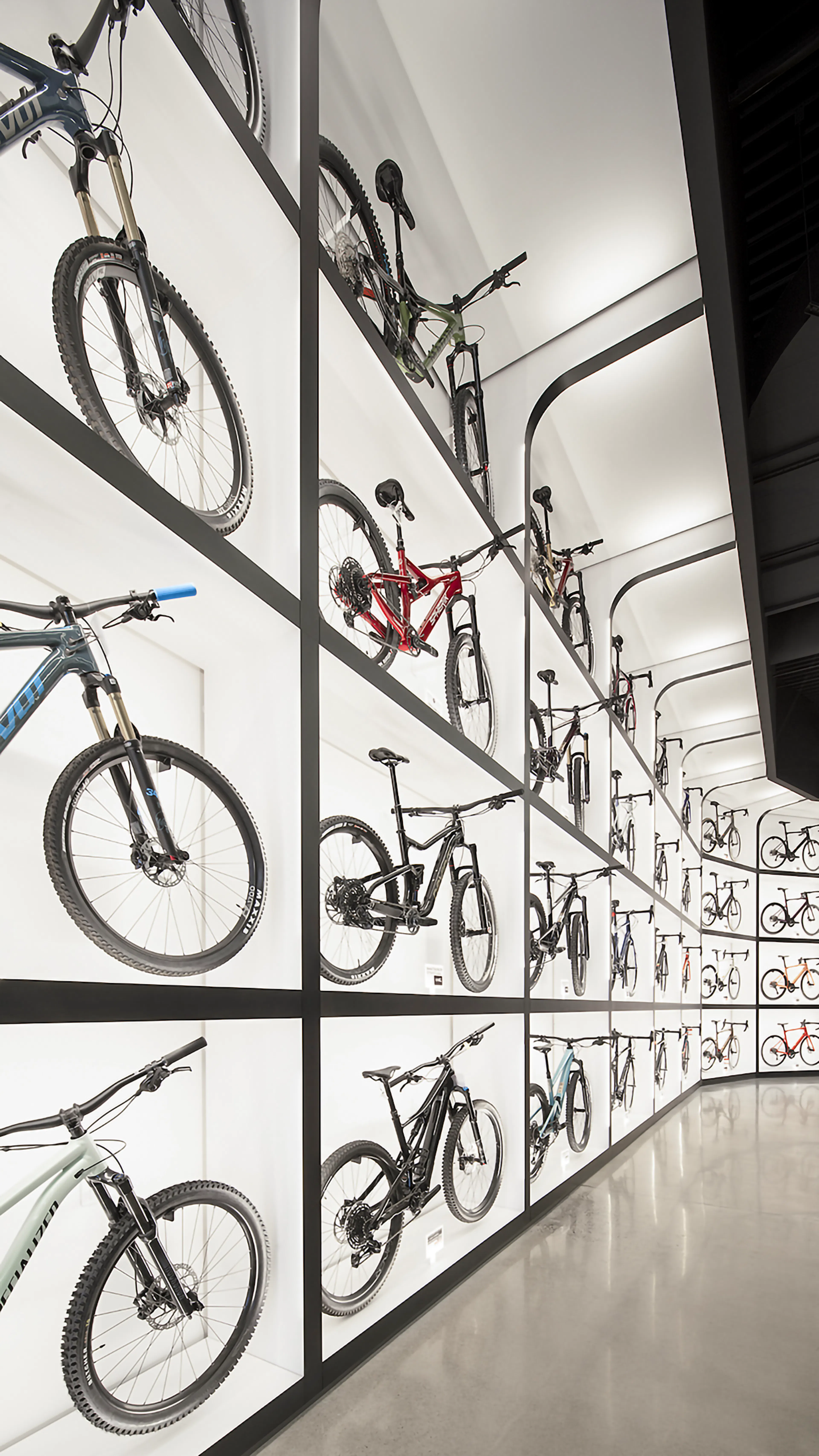 Bicycles Quilicot — 4