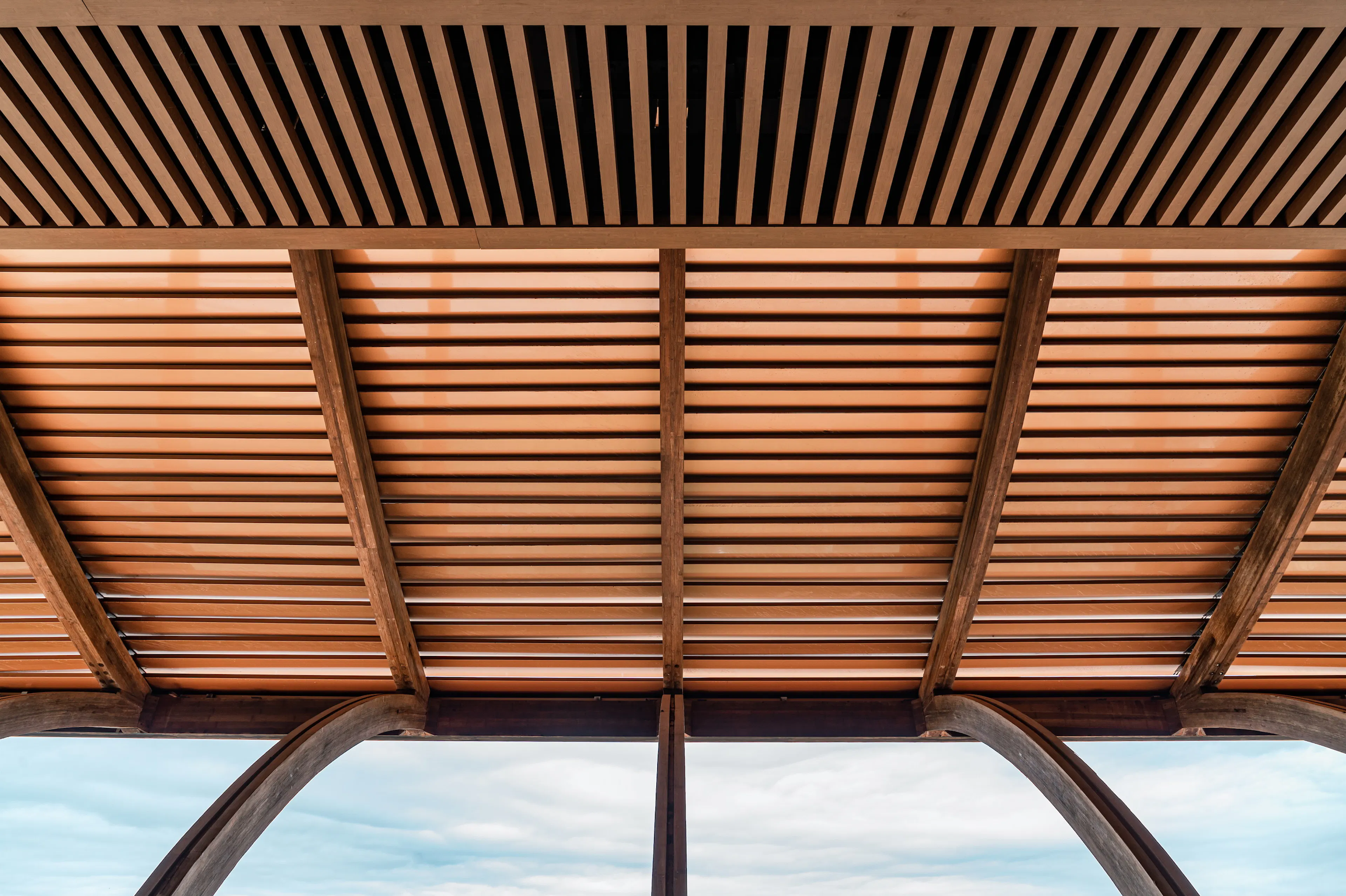 Danjing Pavilion of Longquan Mountain Urban Forest Park — 11