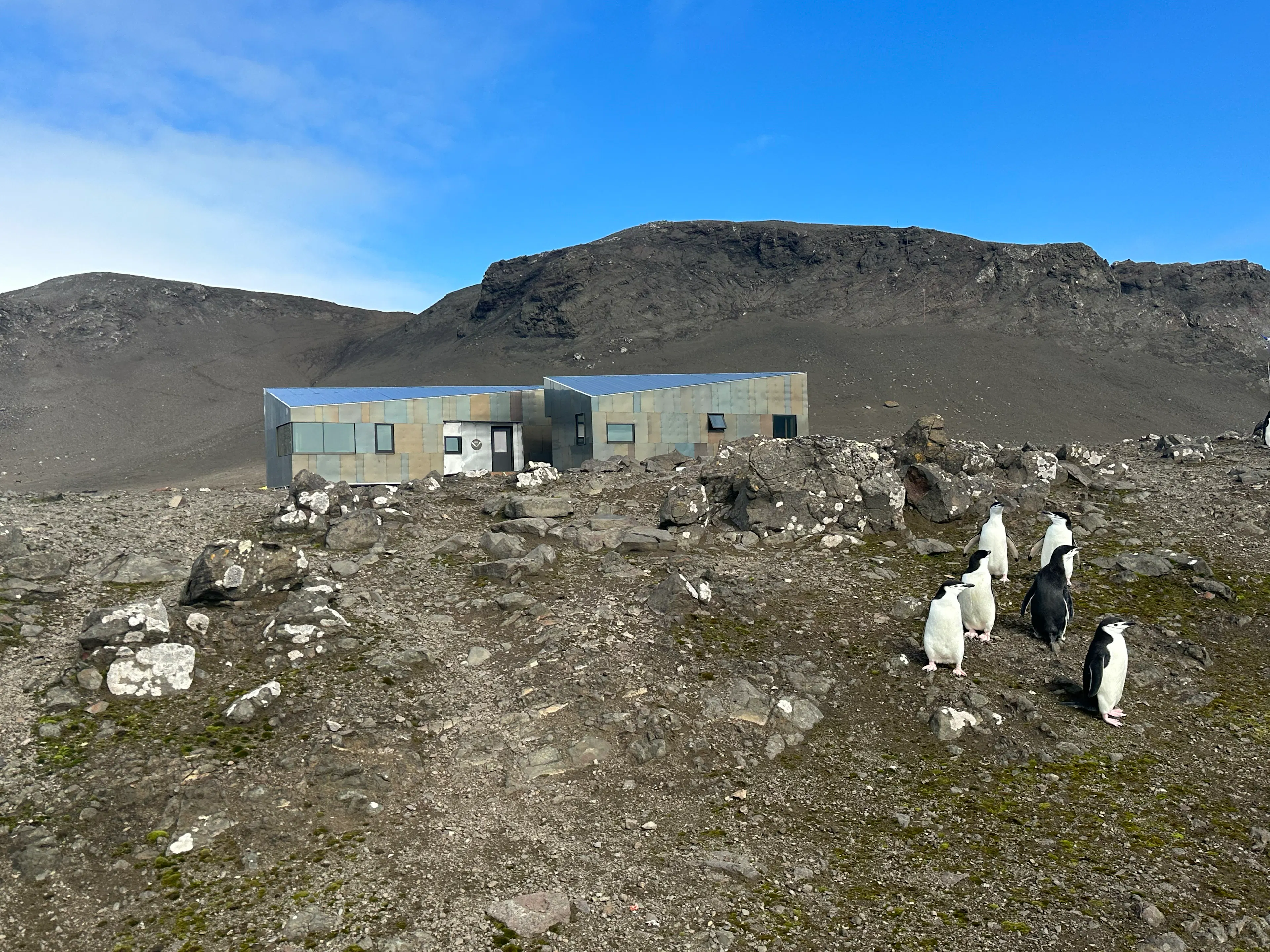 Holt Watters Field Camp — 1