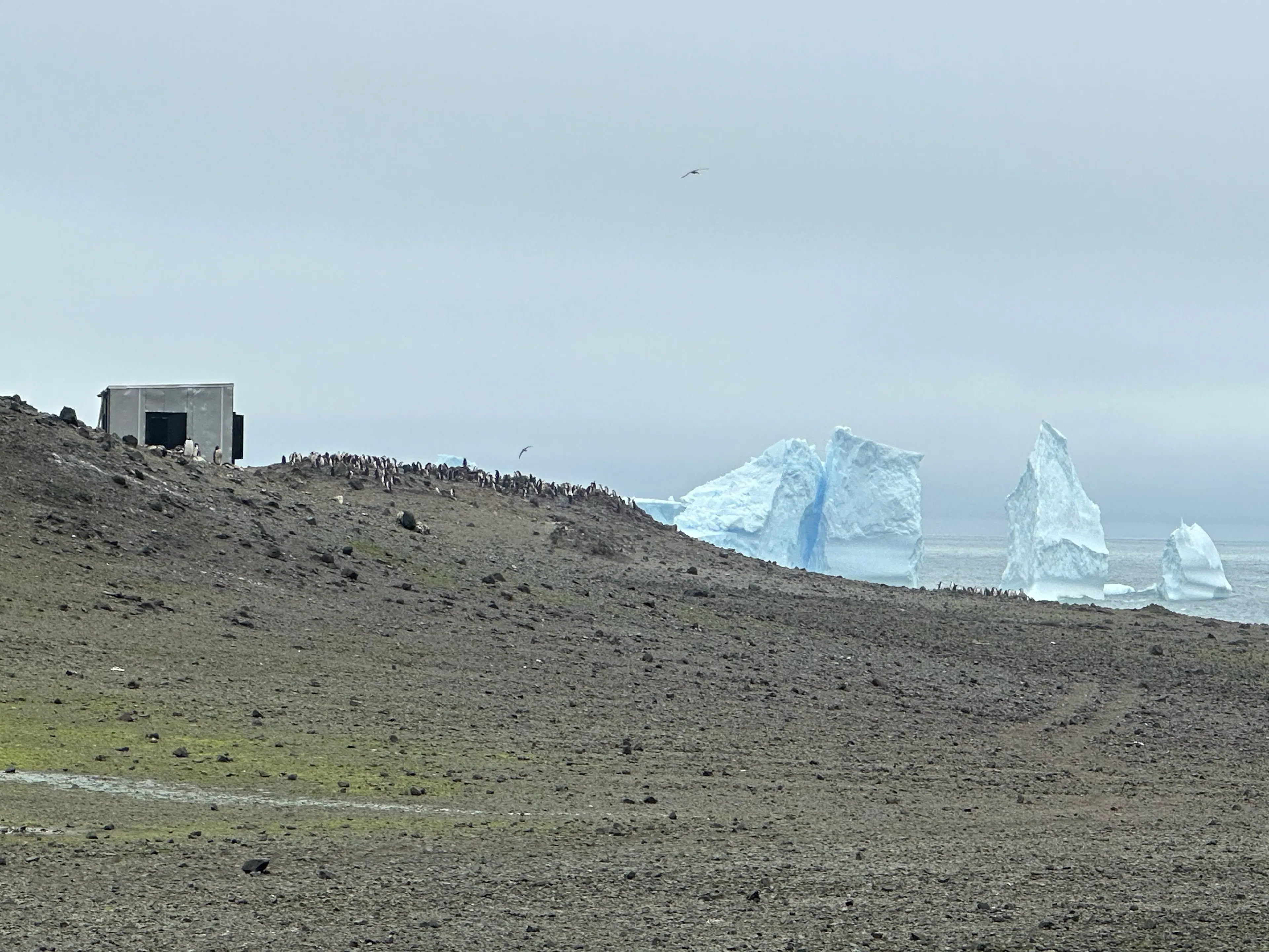 Holt Watters Field Camp — 16