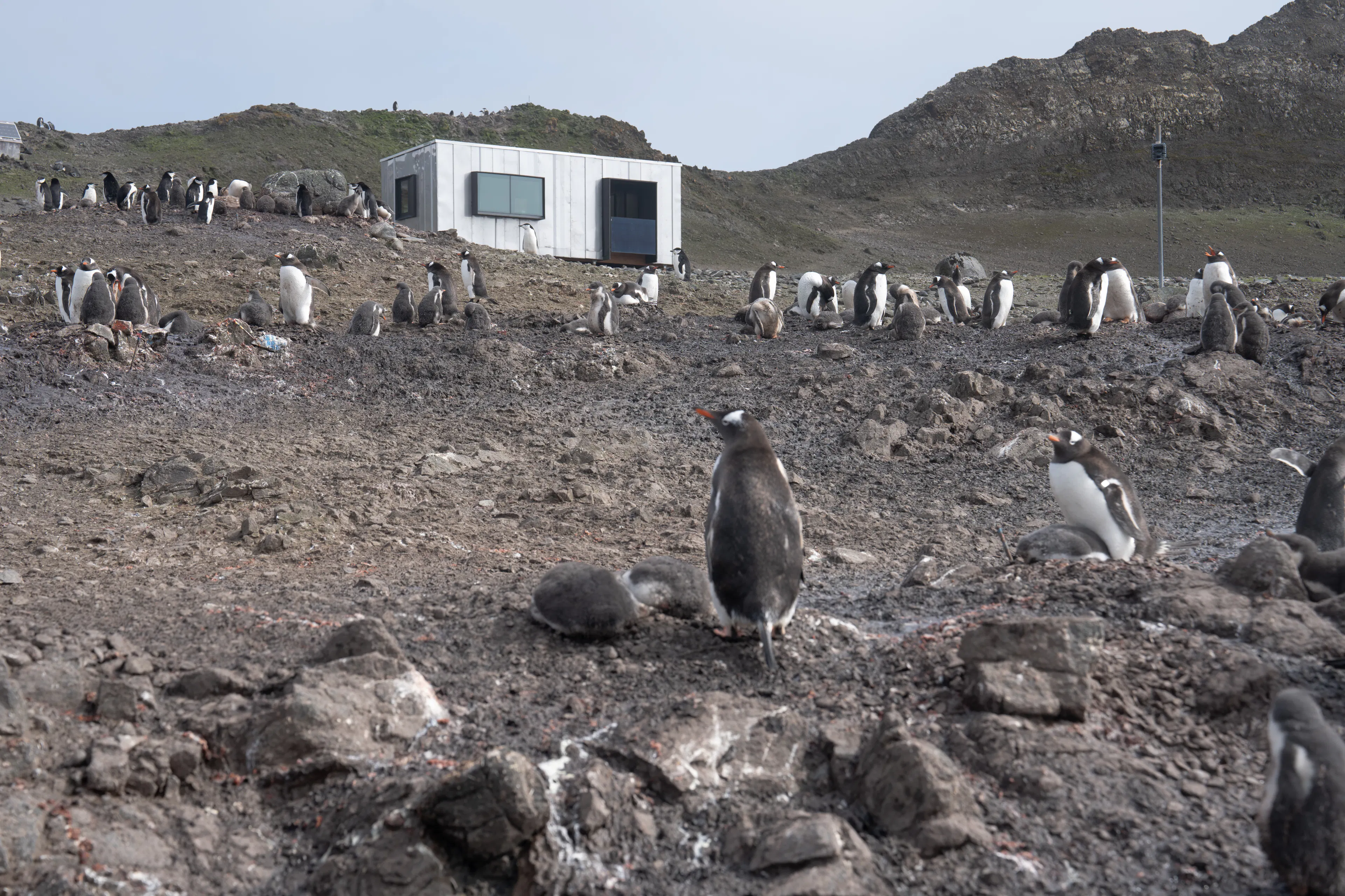 Holt Watters Field Camp