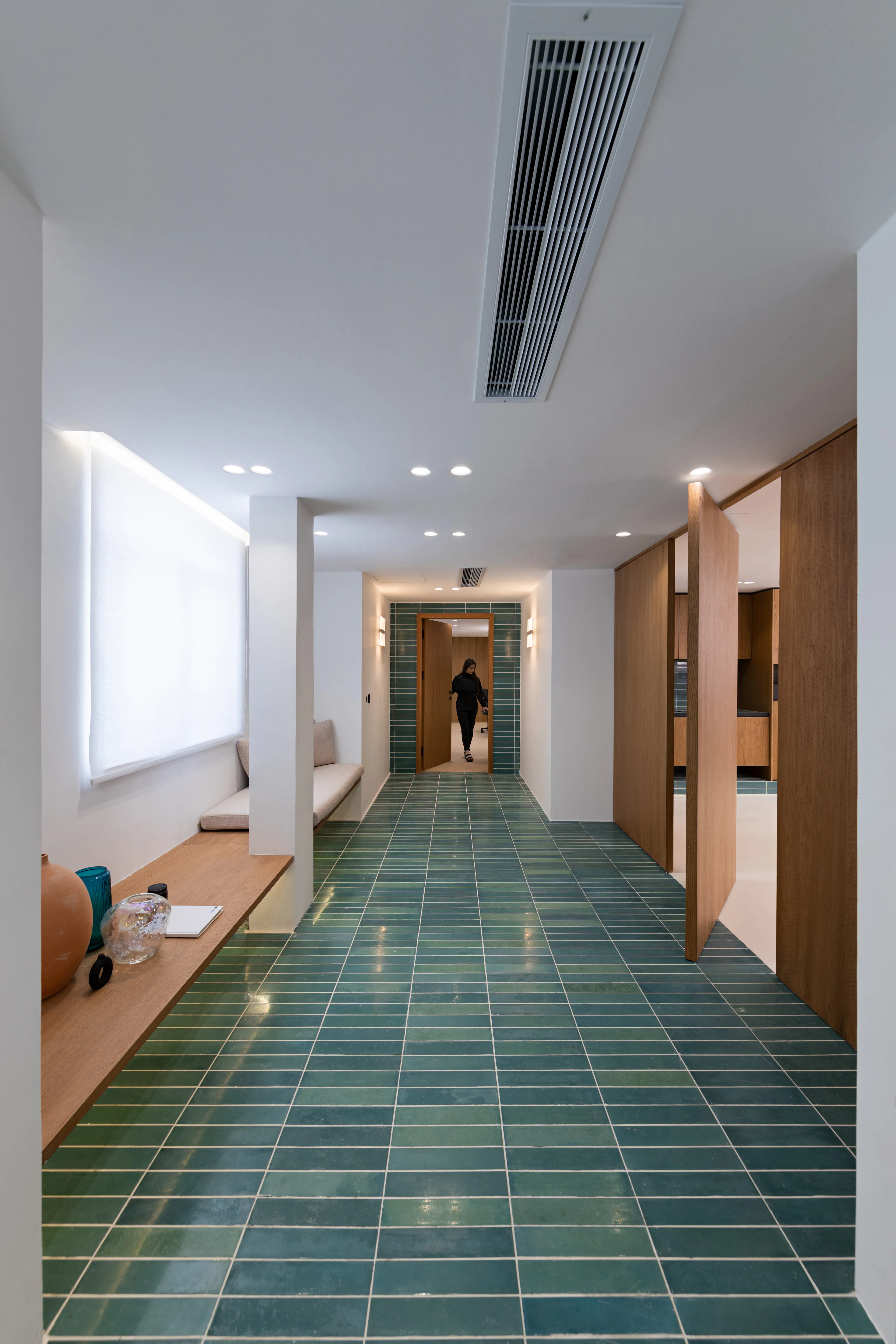 The Blue Line Apartment — 47