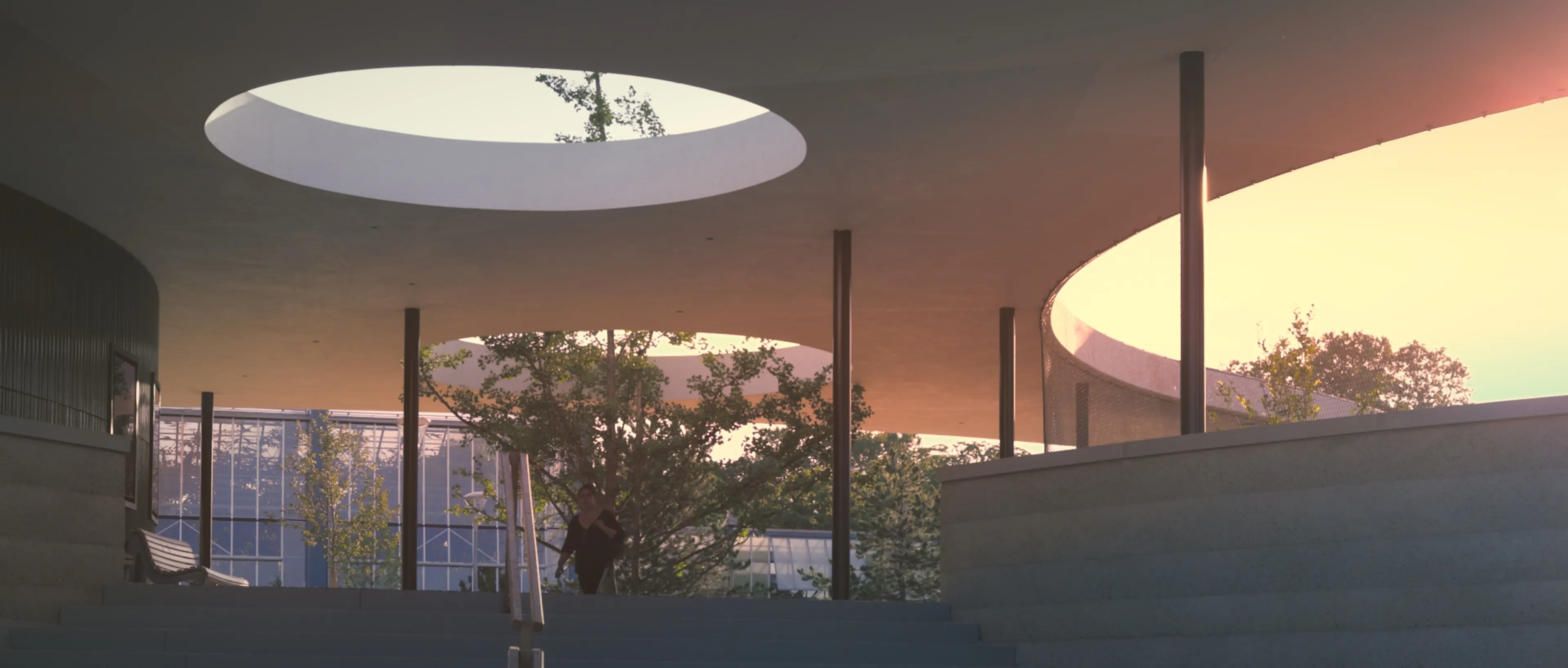 short film│new park center luisenpark mannheim — 5