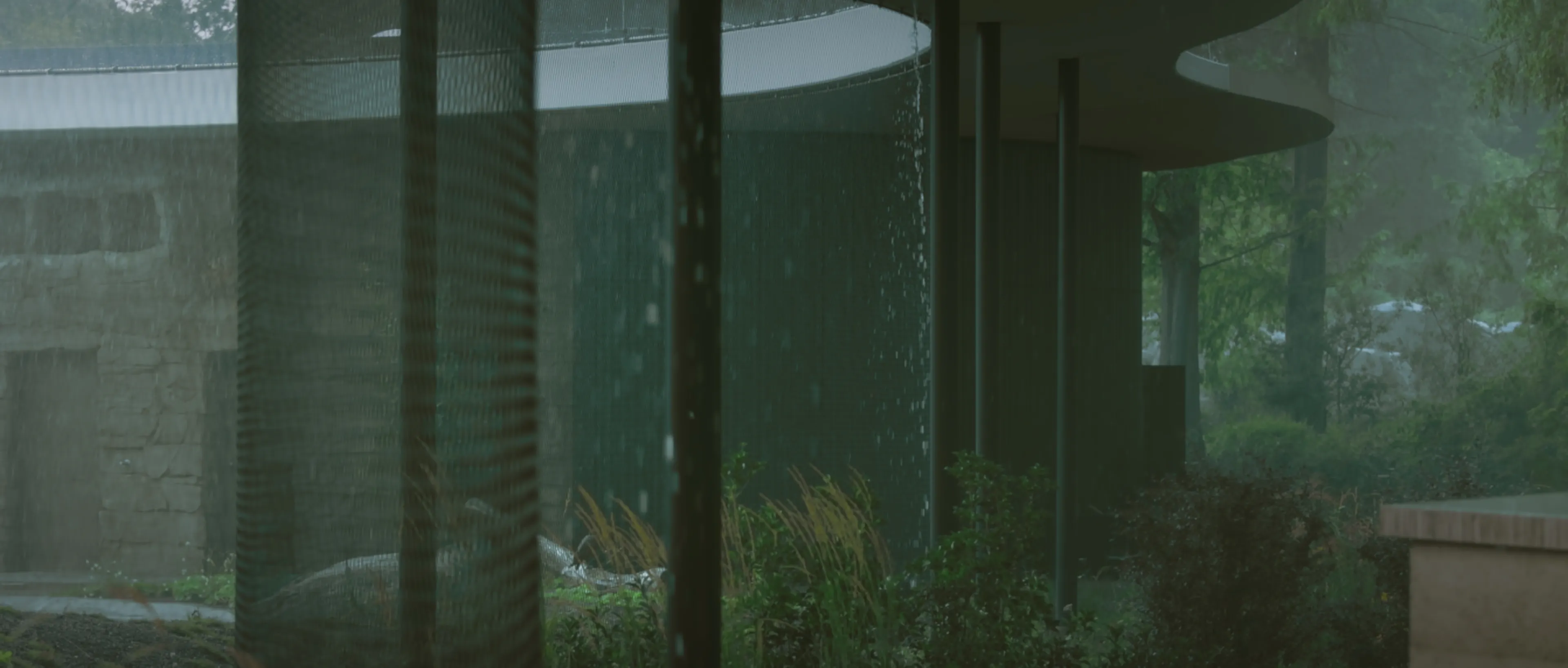 short film│new park center luisenpark mannheim — 4