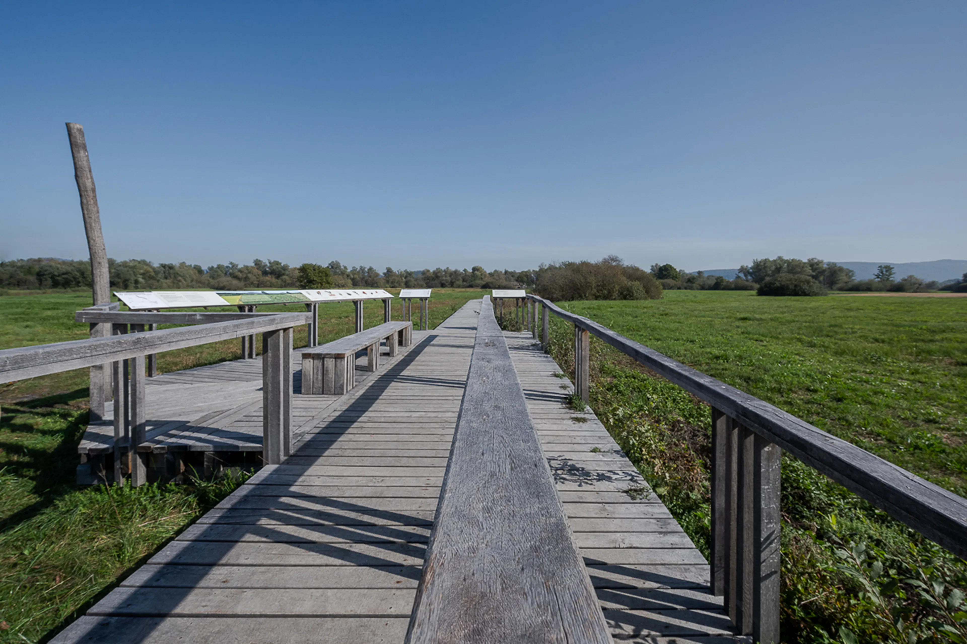 Interpretation Center of Biodiversity and Pile Dwellings in the Ljubljana Marsh Nature Park — 13